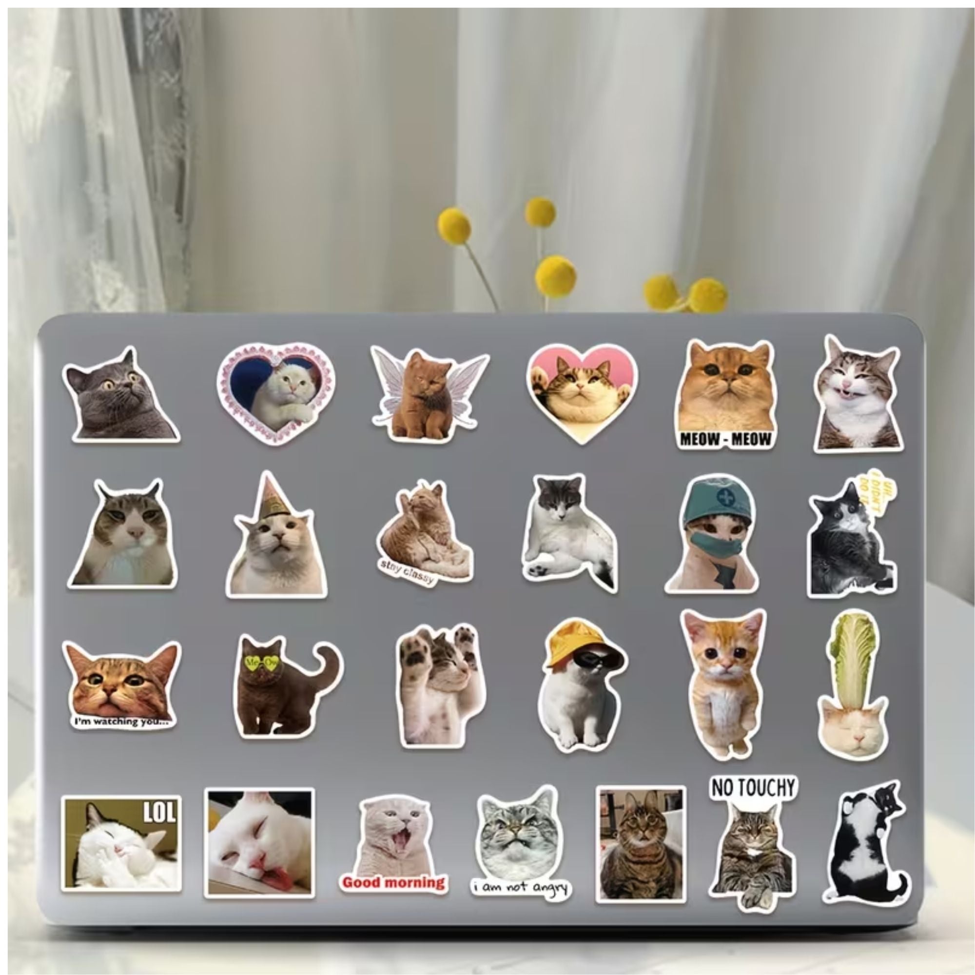 100 STICKERS DE GATOS MEMES — THE BLUE CAT