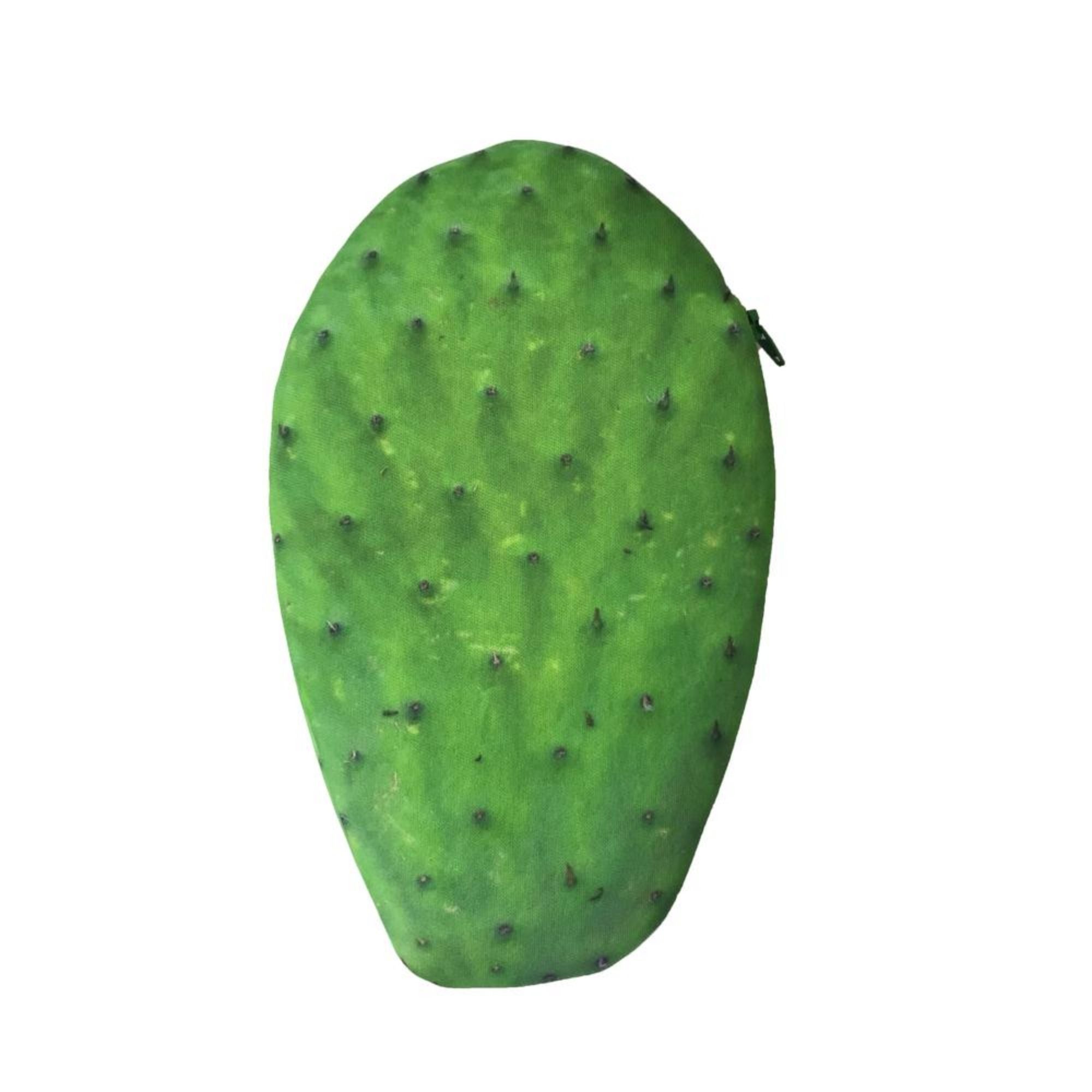 Monedero Nopal: Un Símbolo del Paisaje Mexicano