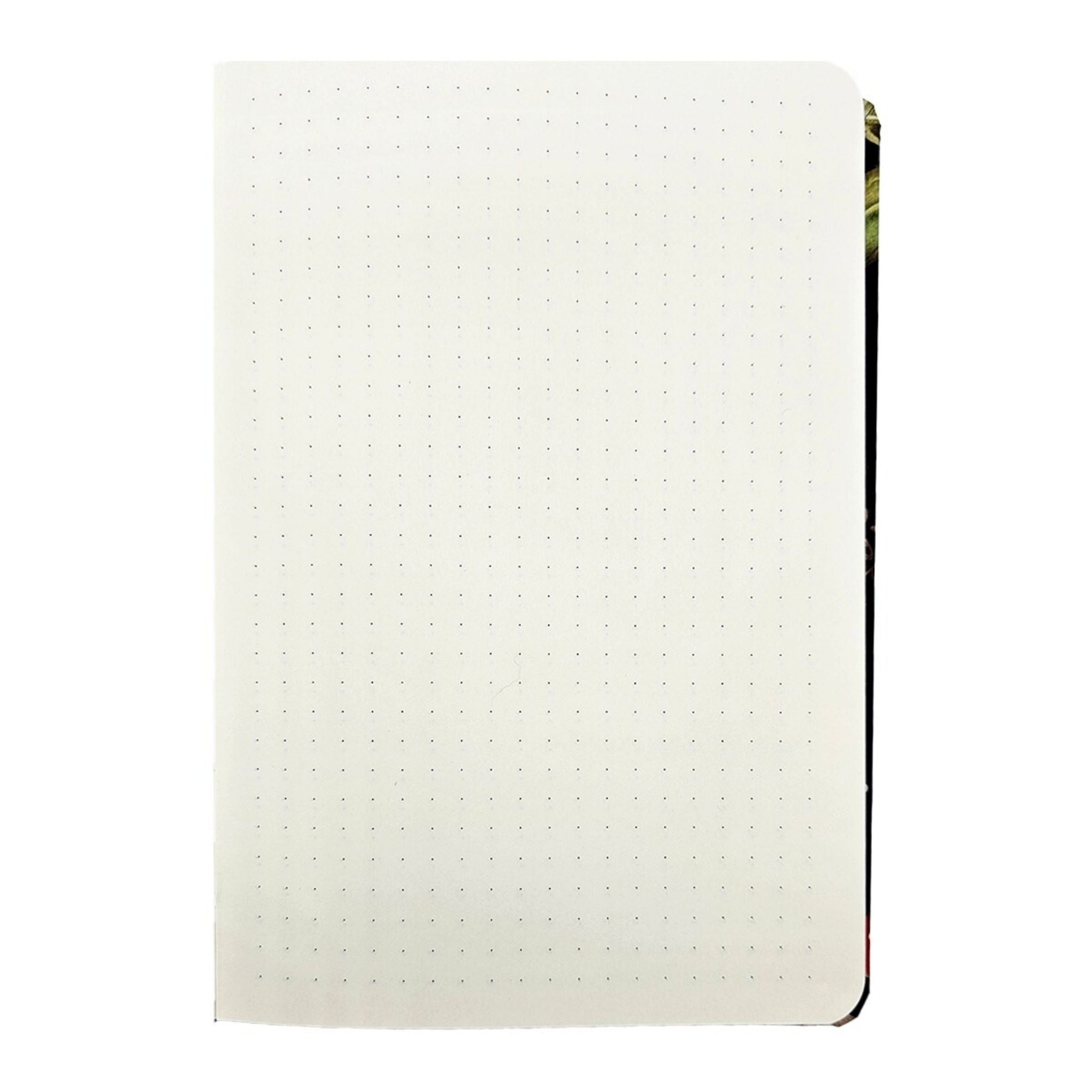 Libreta Epiphania A5 Inspira Alicia