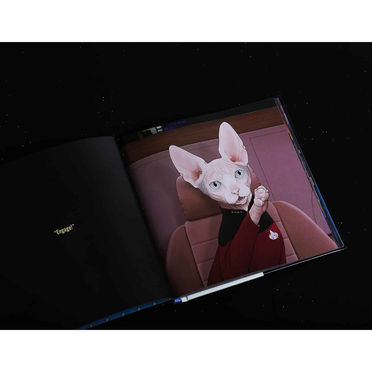 Star Trek: The Next Generation Cats – Jenny Parks
