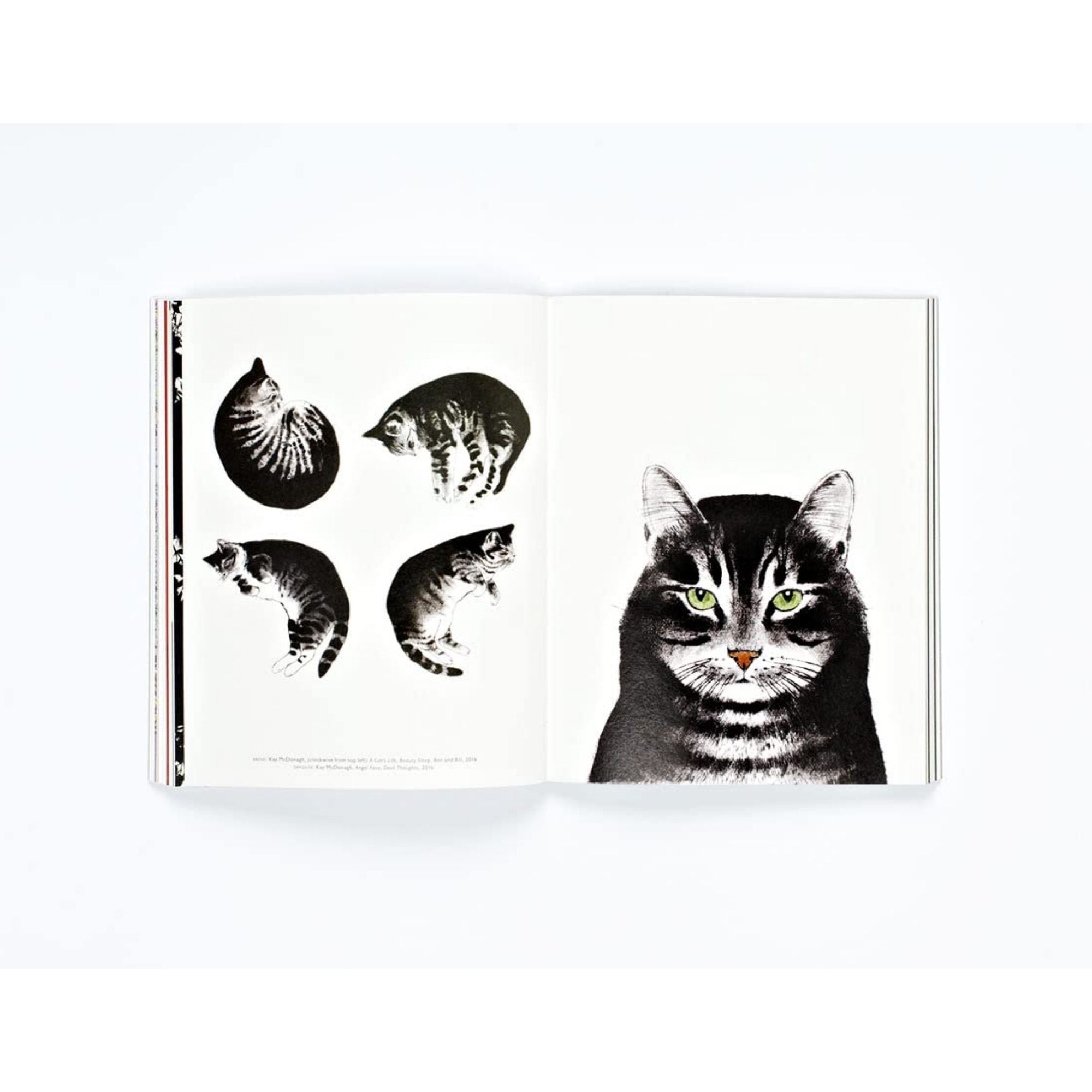 The Book of the Cat: El Felino en el Arte