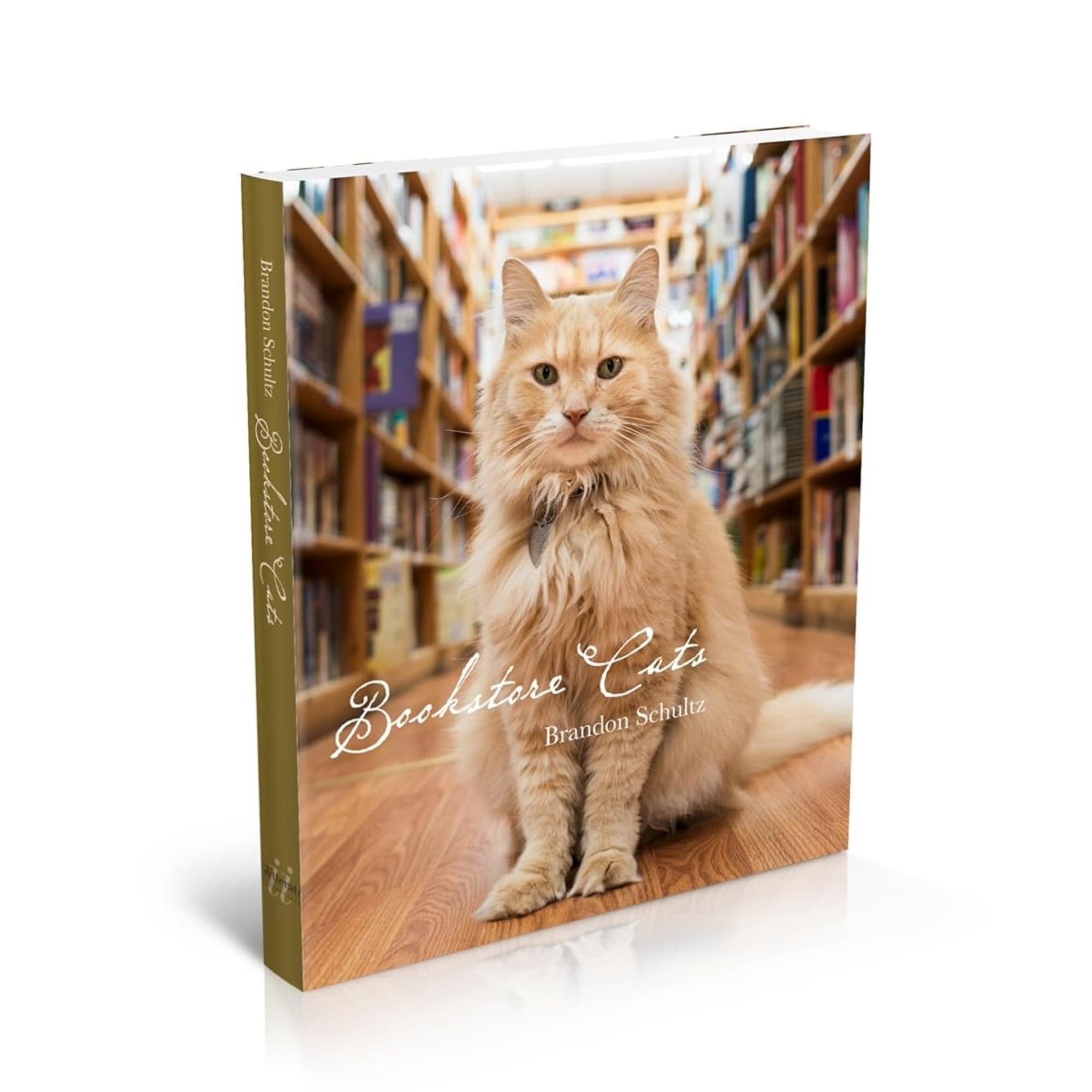 Bookstore Cats: Los Guardianes de la Lectura