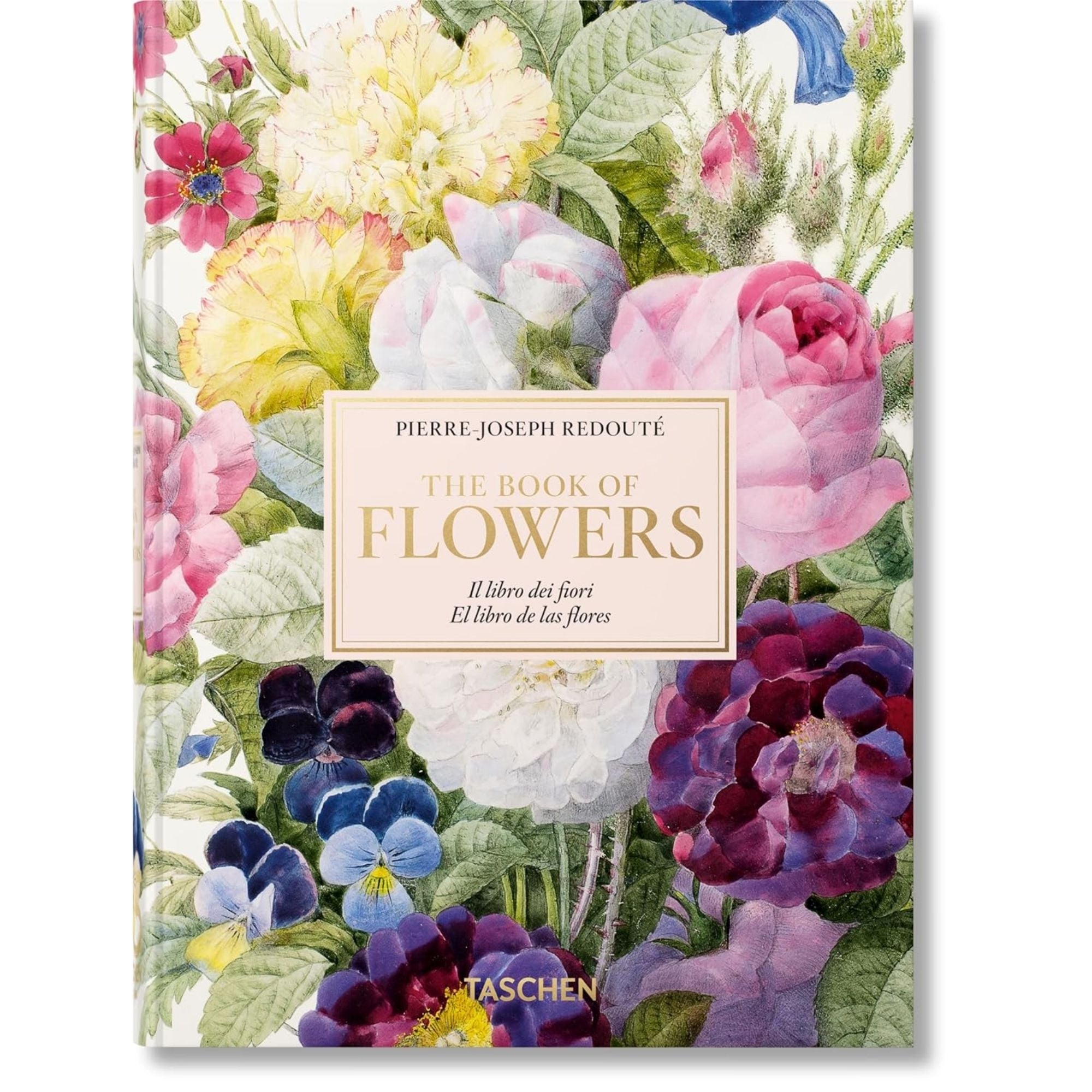 Redouté: El Rafael de las Flores