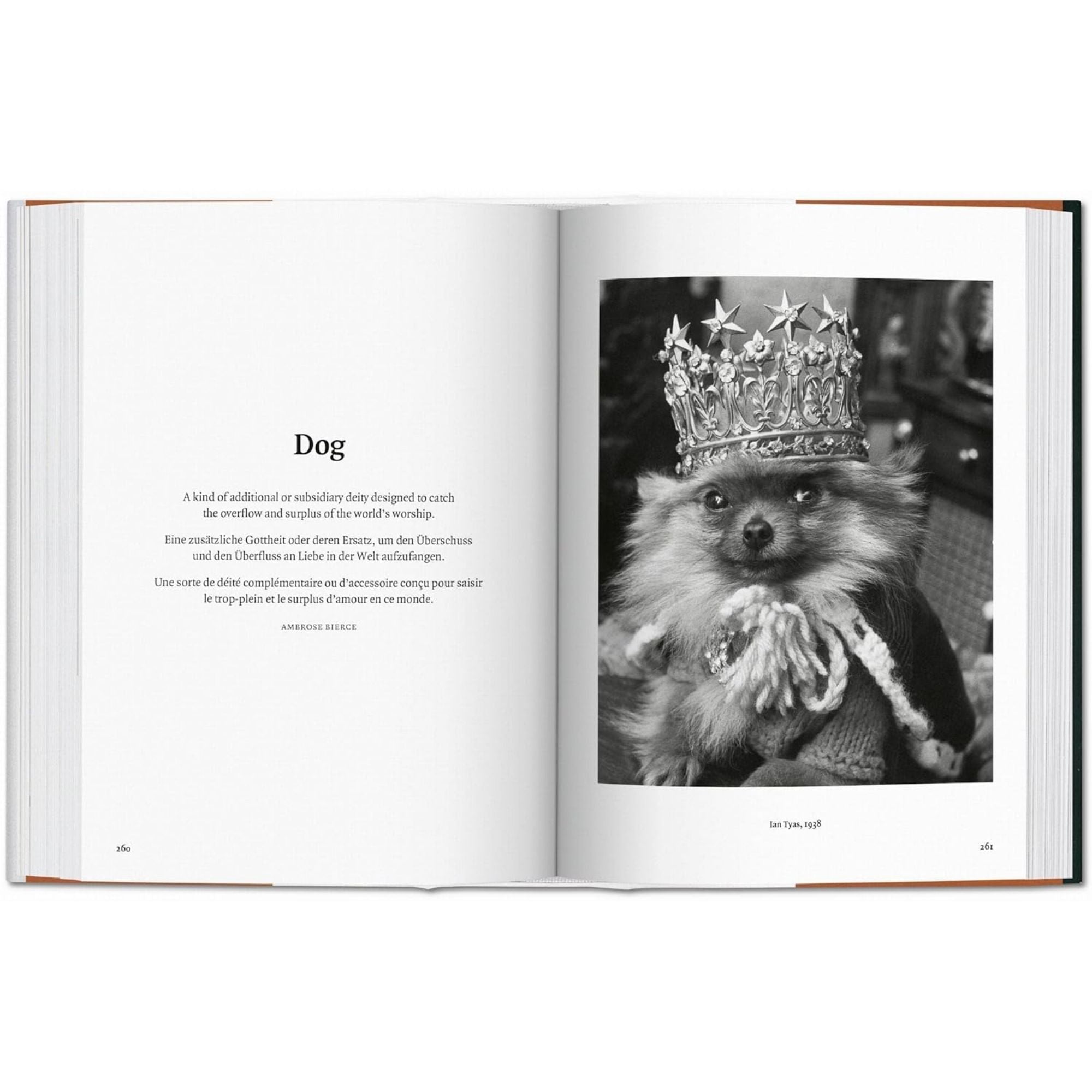 The Dog in Photography: Fidelidad en el Lente