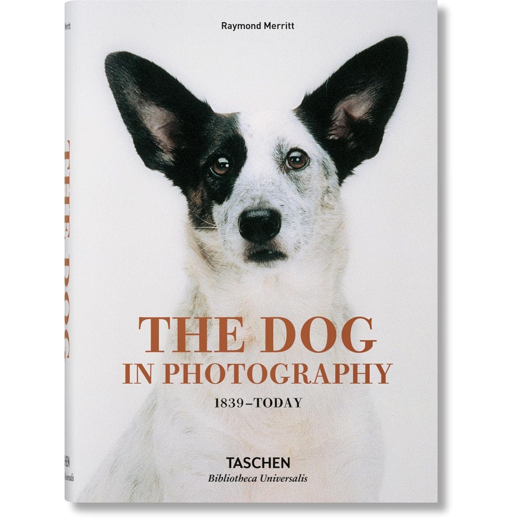 The Dog in Photography: Fidelidad en el Lente