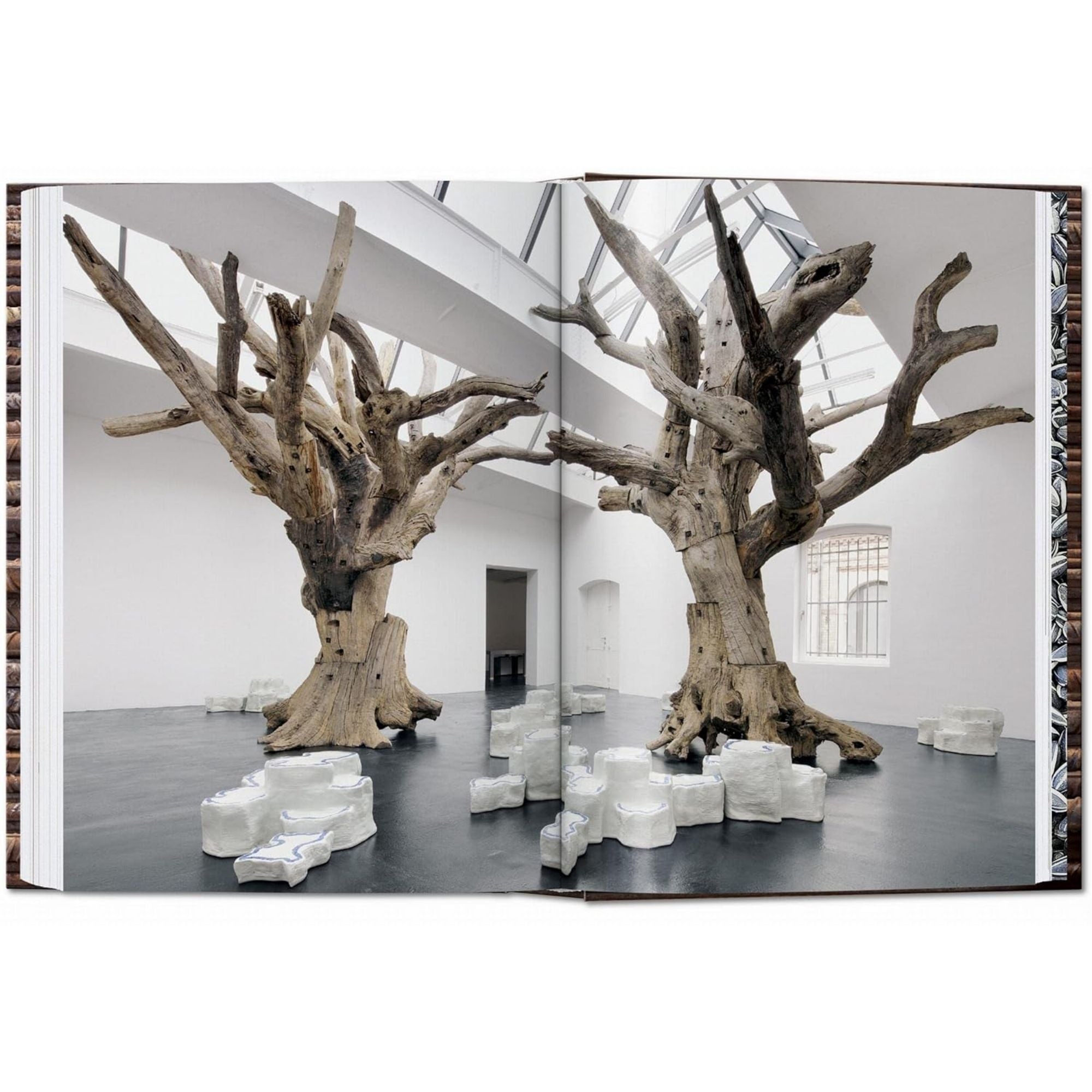 Ai Weiwei: 40th Edition Monograph