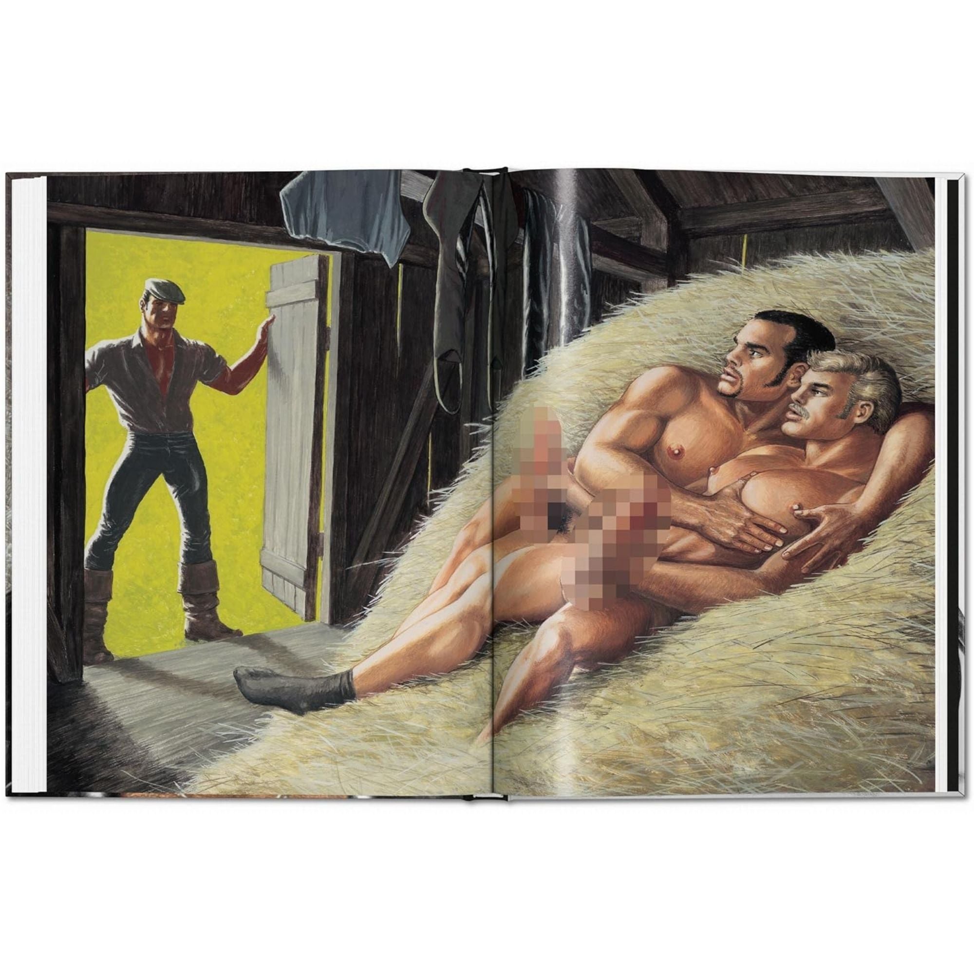 The Little Book of Tom: Bikers