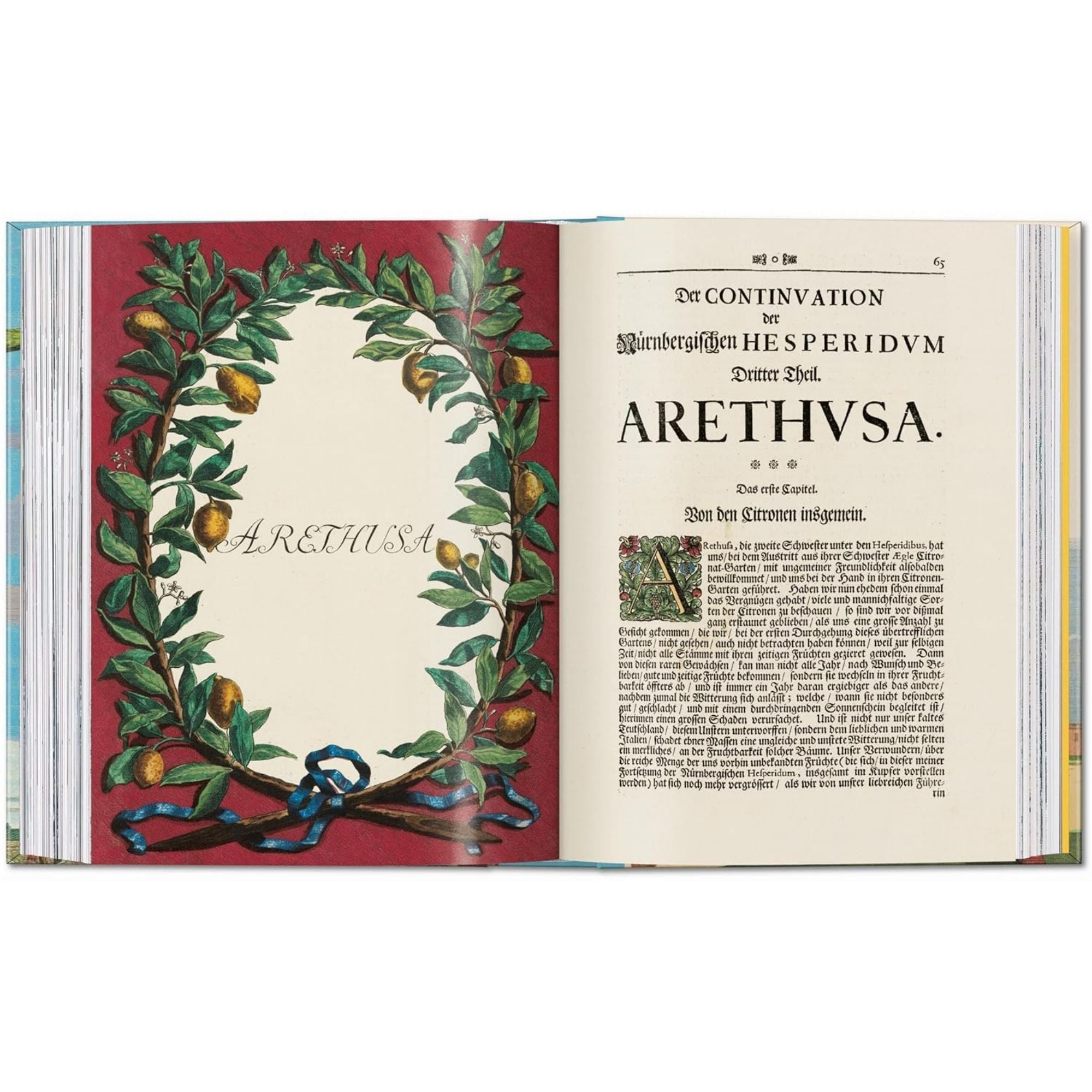 J. C. Volkamer. the Book of Citrus Fruits. 45th Ed.