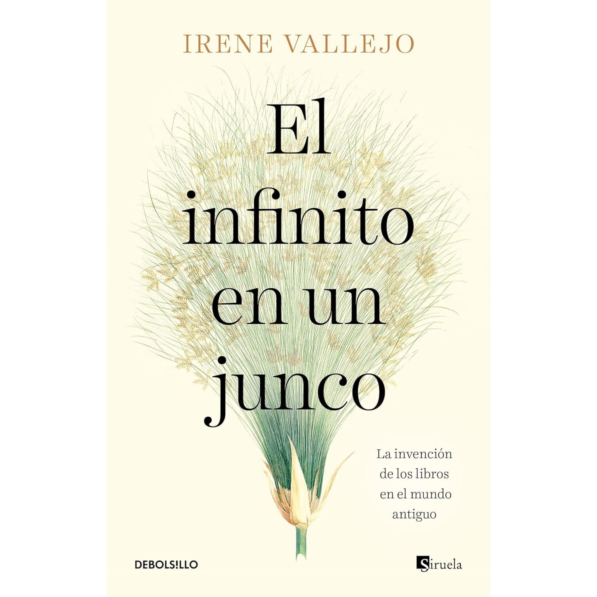 EL INFINITO EN UN JUNCO — IRENE VALLEJO