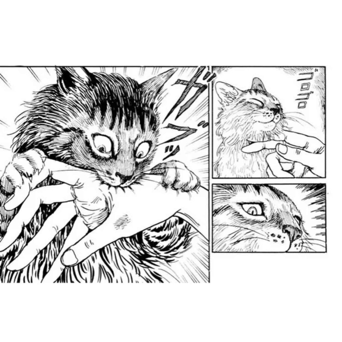 Junji Ito's Cat Diary: Yon & Mu
