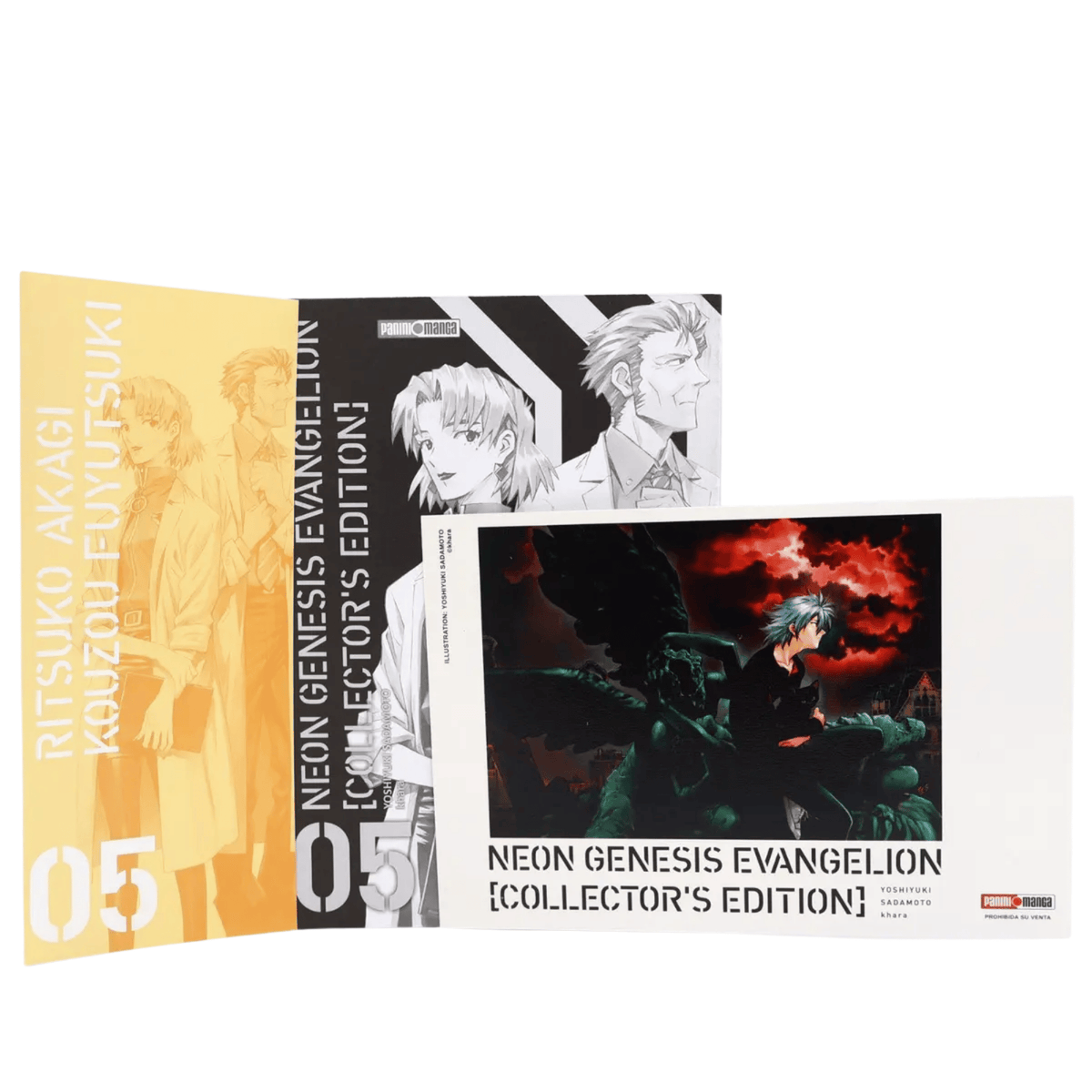 Evangelion Collector's Edition N.5