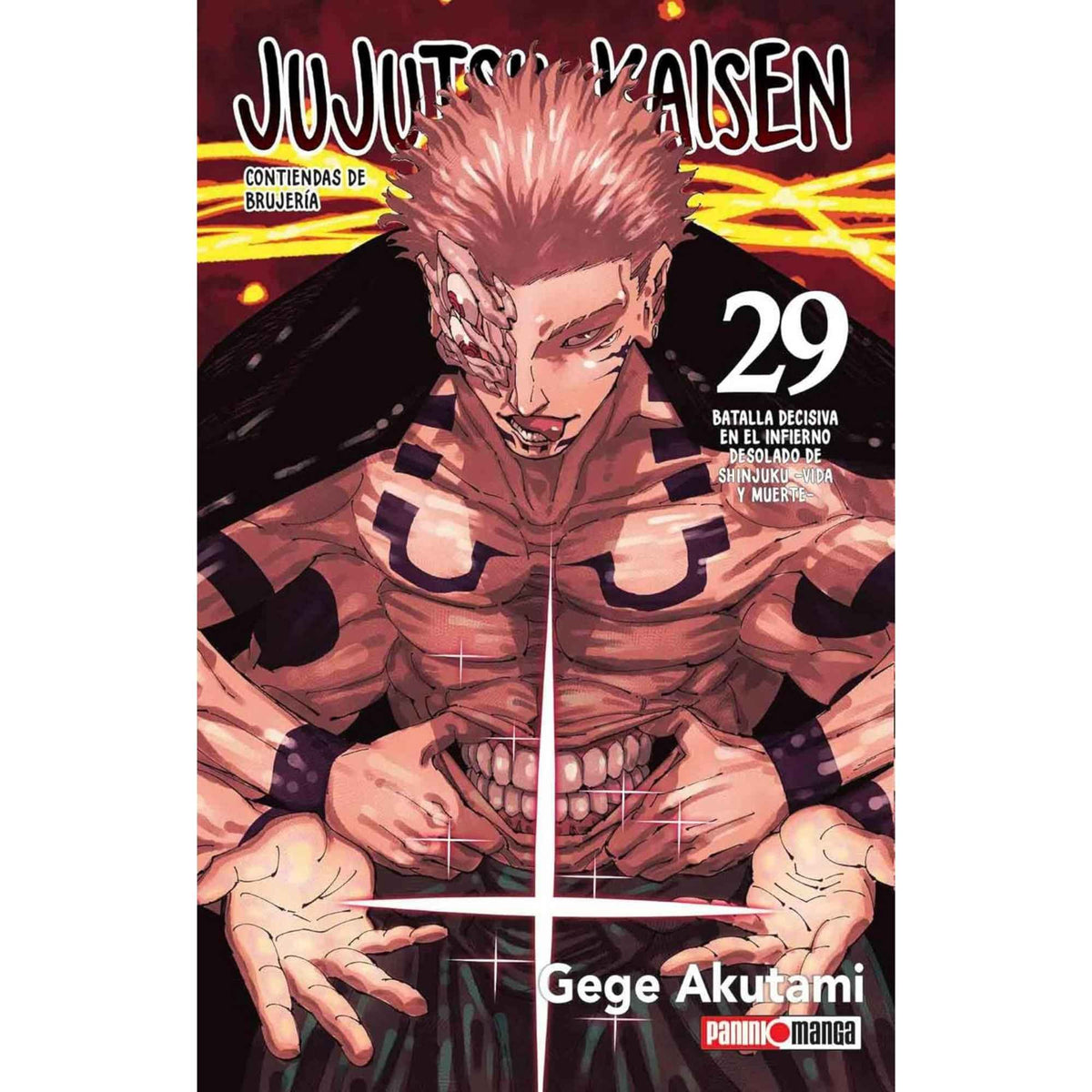 Jujutsu Kaisen N.29