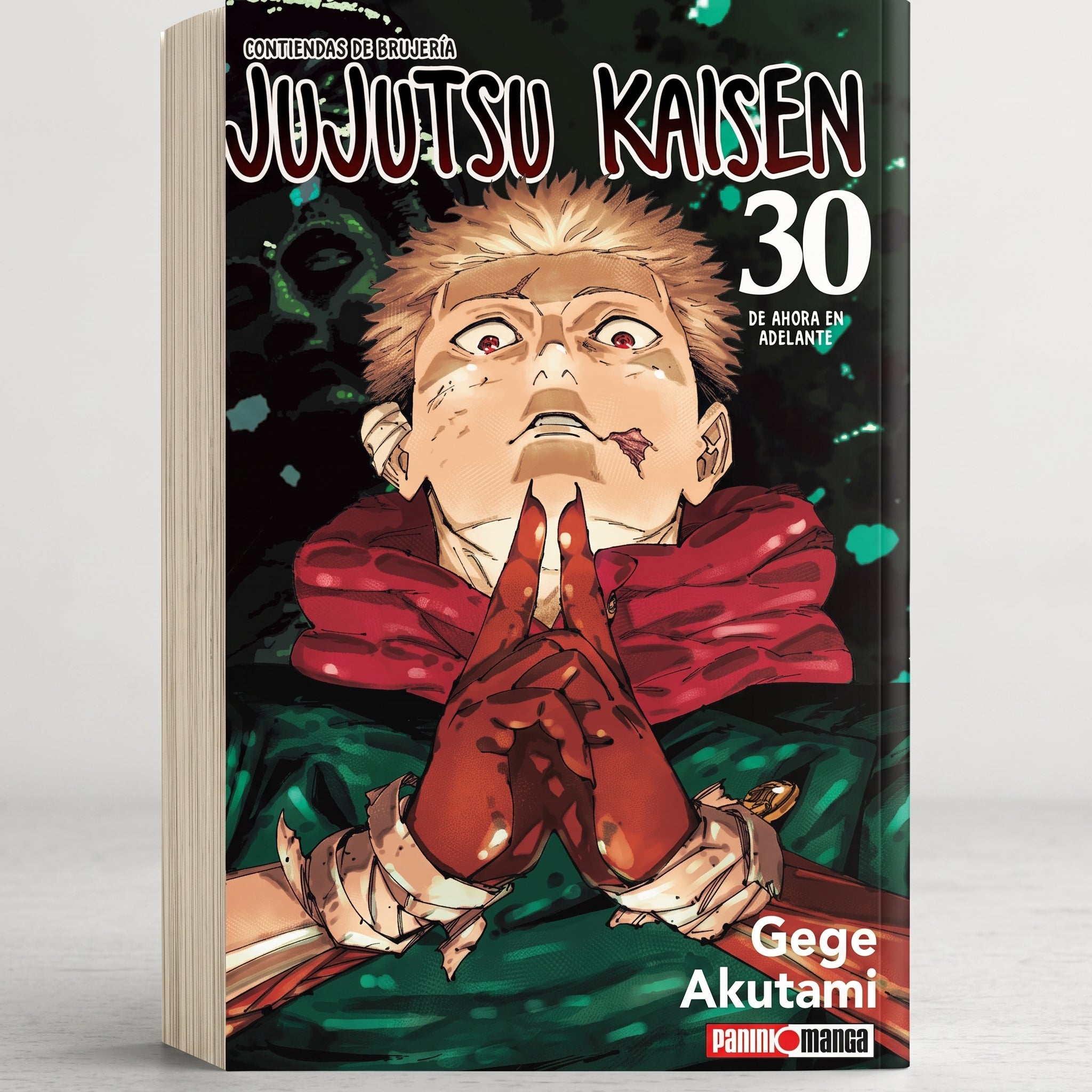 Jujutsu Kaisen N.30