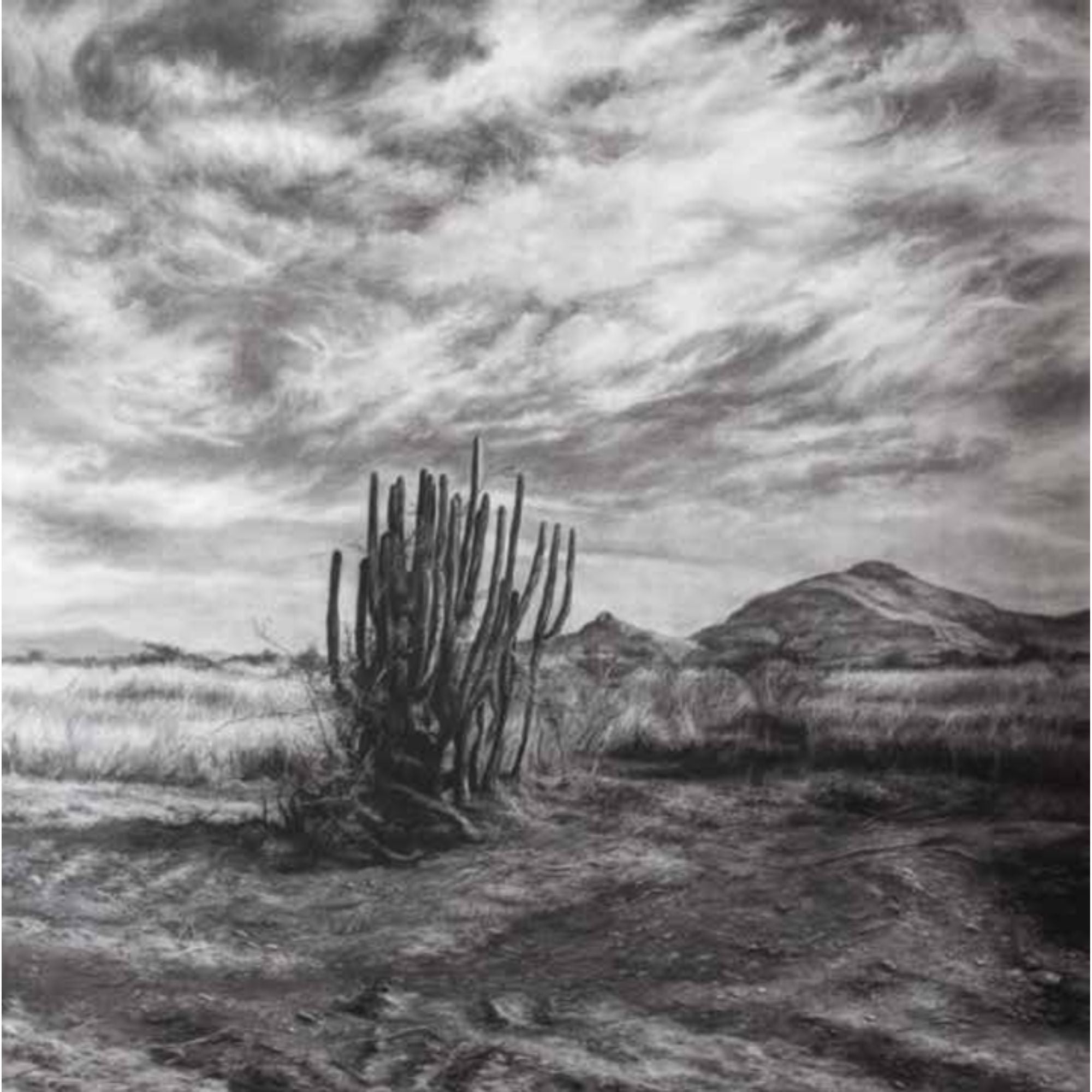 EL ENIGMÁTICO COLOR DEL SILENCIO — LARISSA BARRERA