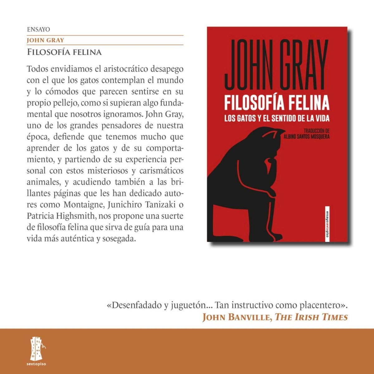 Filosofía Felina: Guía para una Vida Auténtica