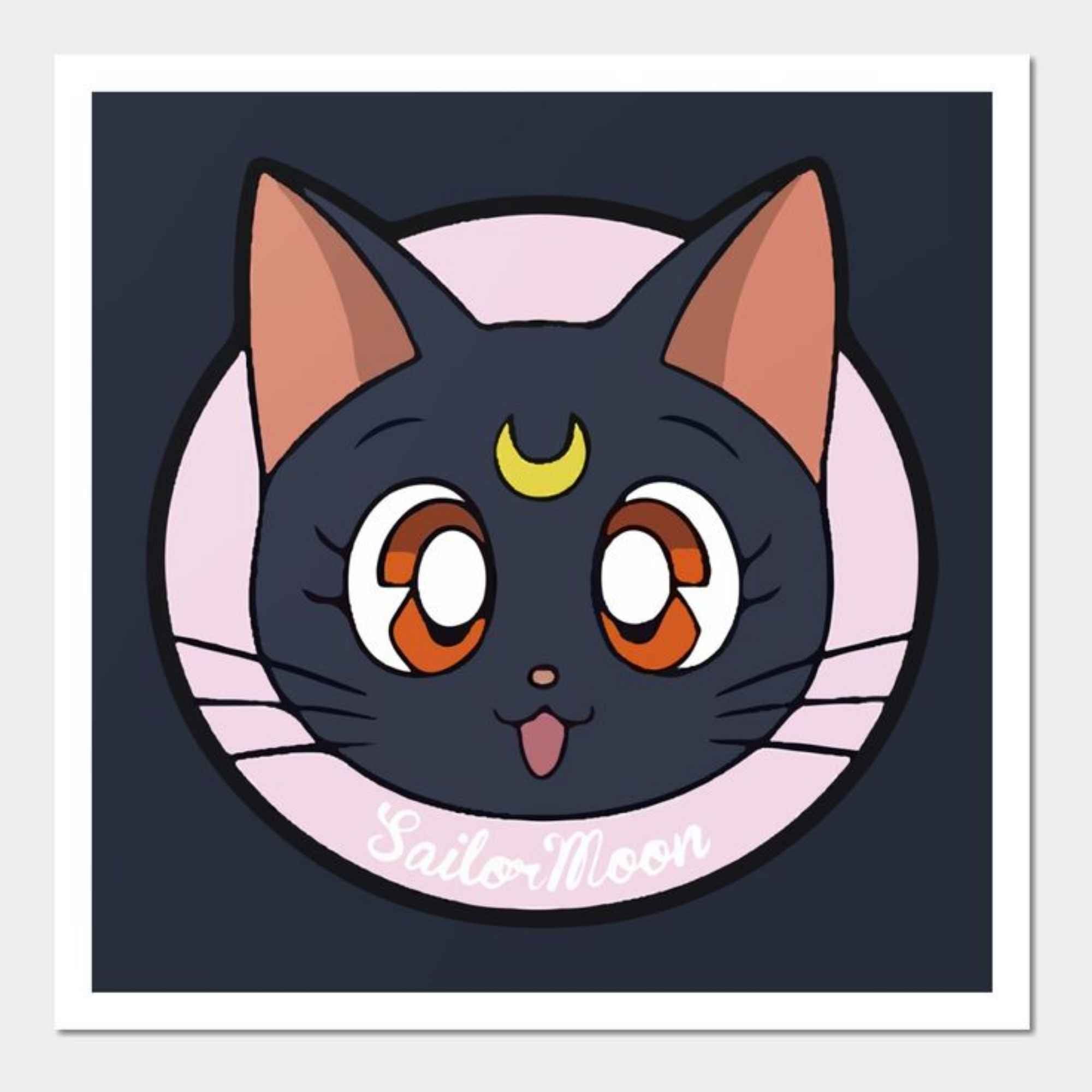 Sailor Moon Special Box N.1 Tomos 1-12 Edición Especial