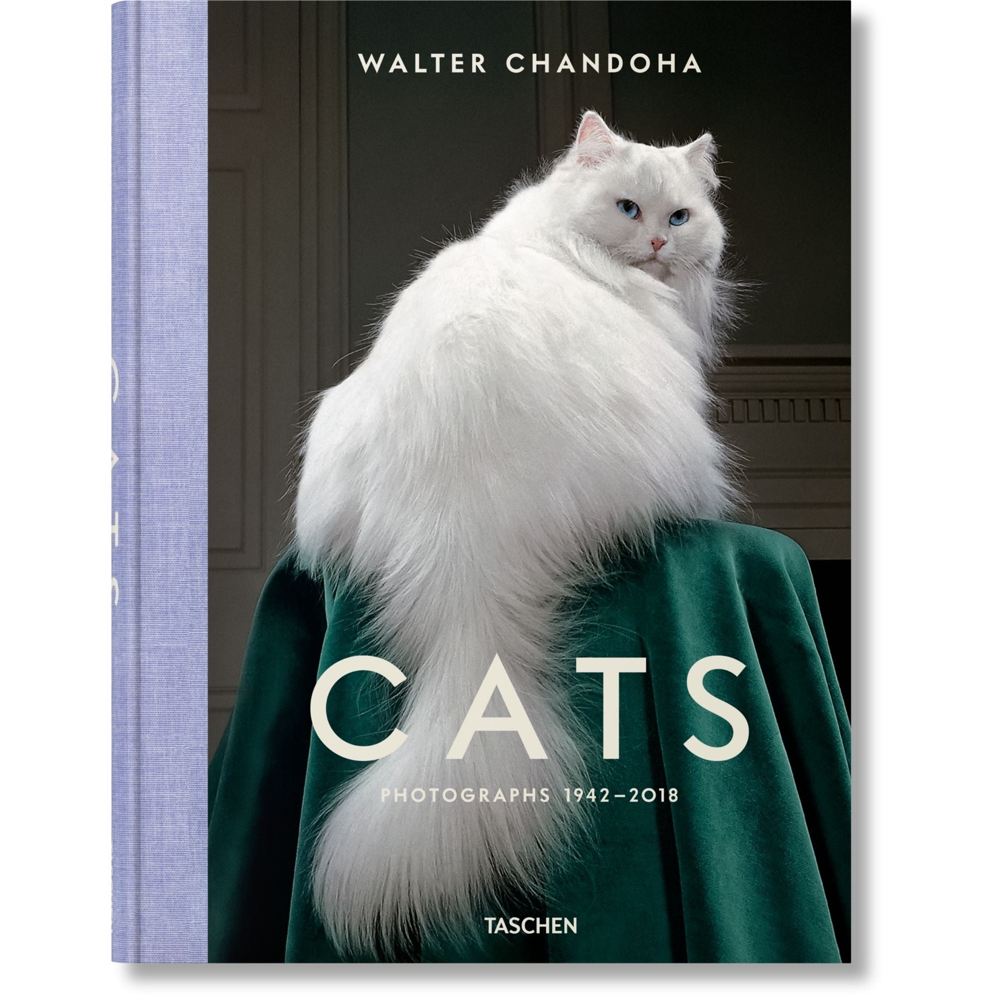 Gatos en el Arte