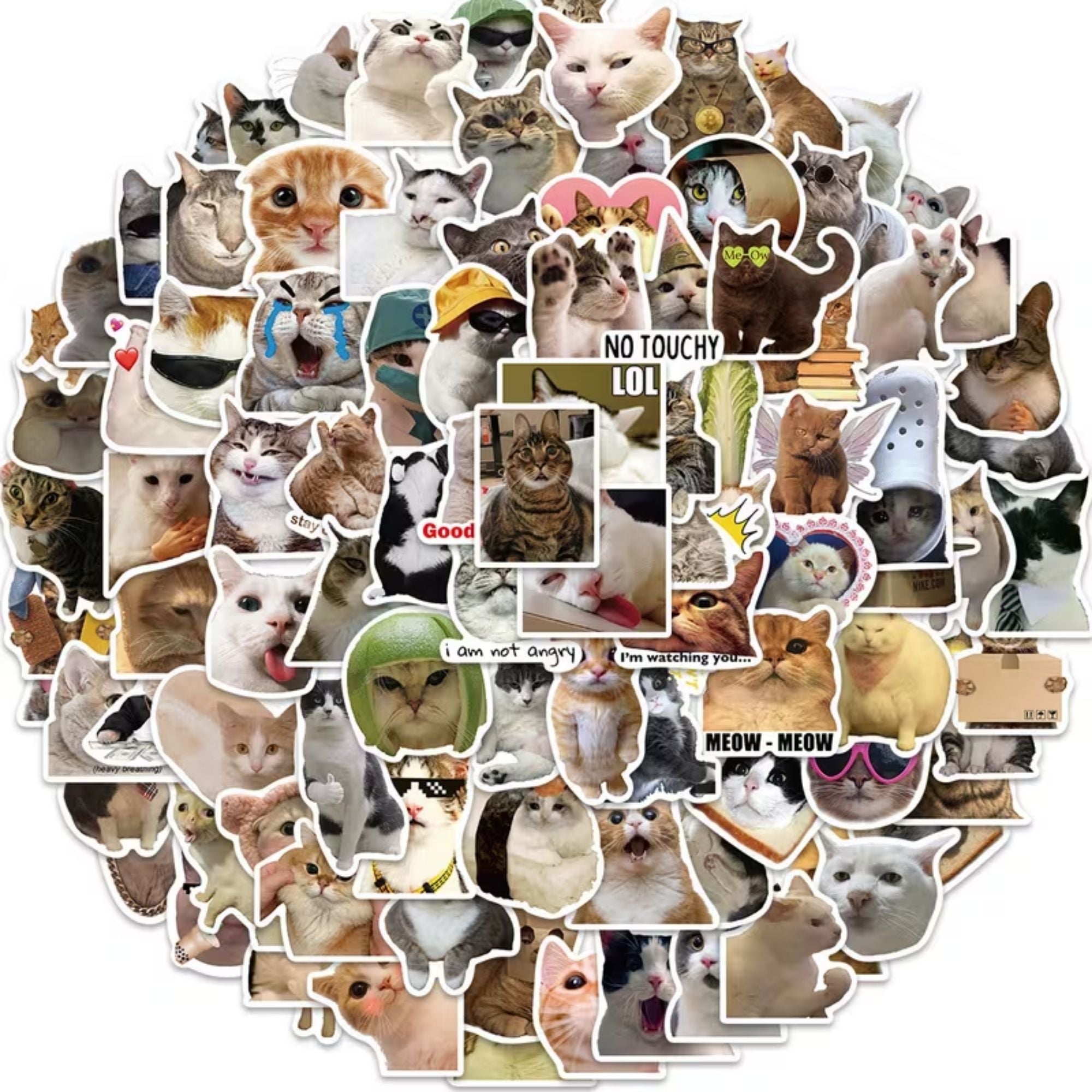 100 STICKERS DE GATOS MEMES — THE BLUE CAT