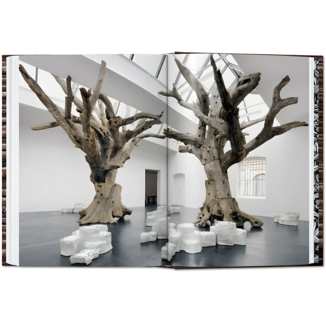 Ai Weiwei. 40th Ed.