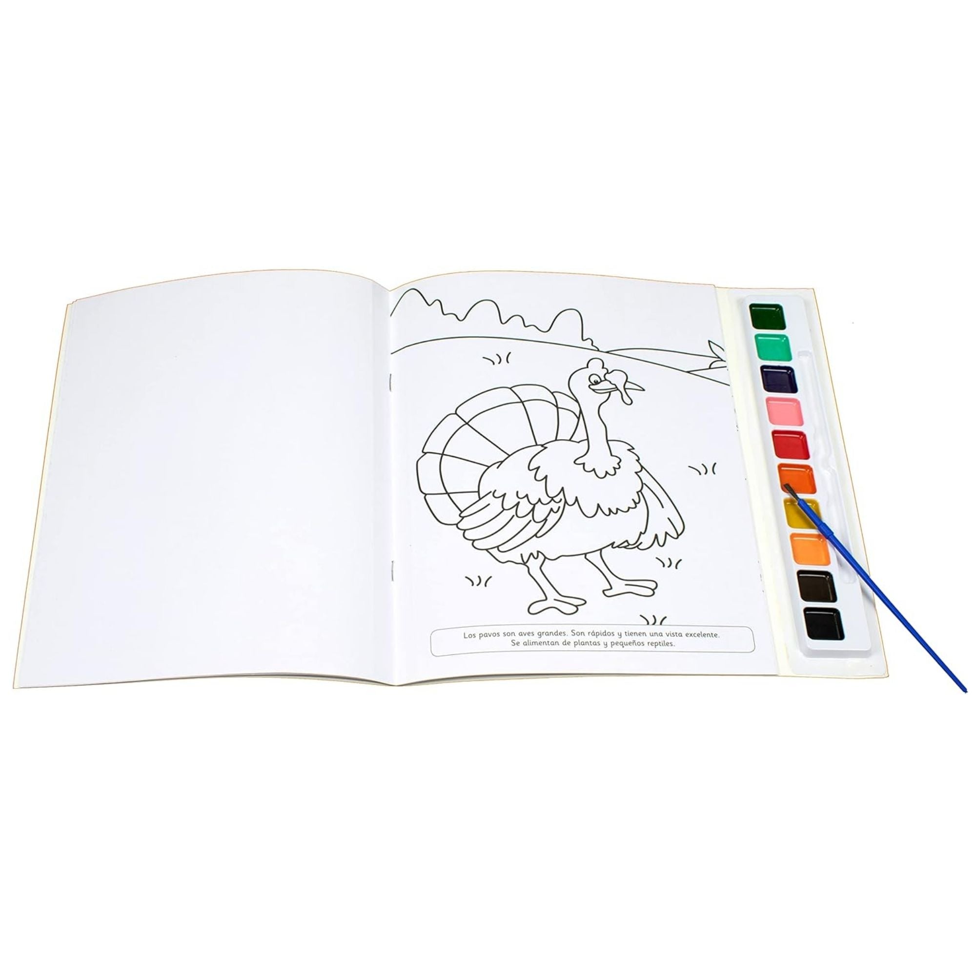 Animales de la Granja: Arte y Acuarelas