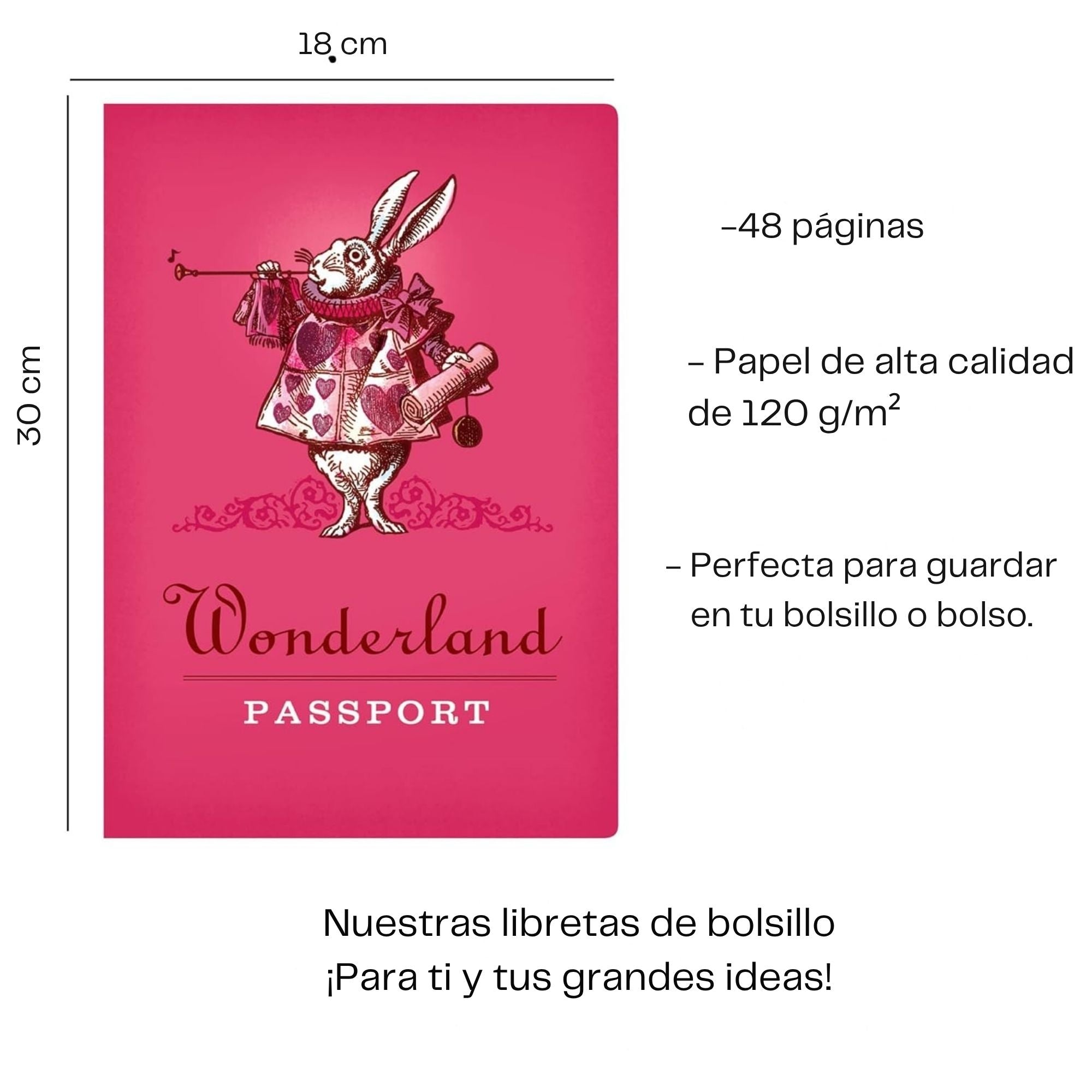 Minicuaderno Pasaporte al Pais de las Maravillas