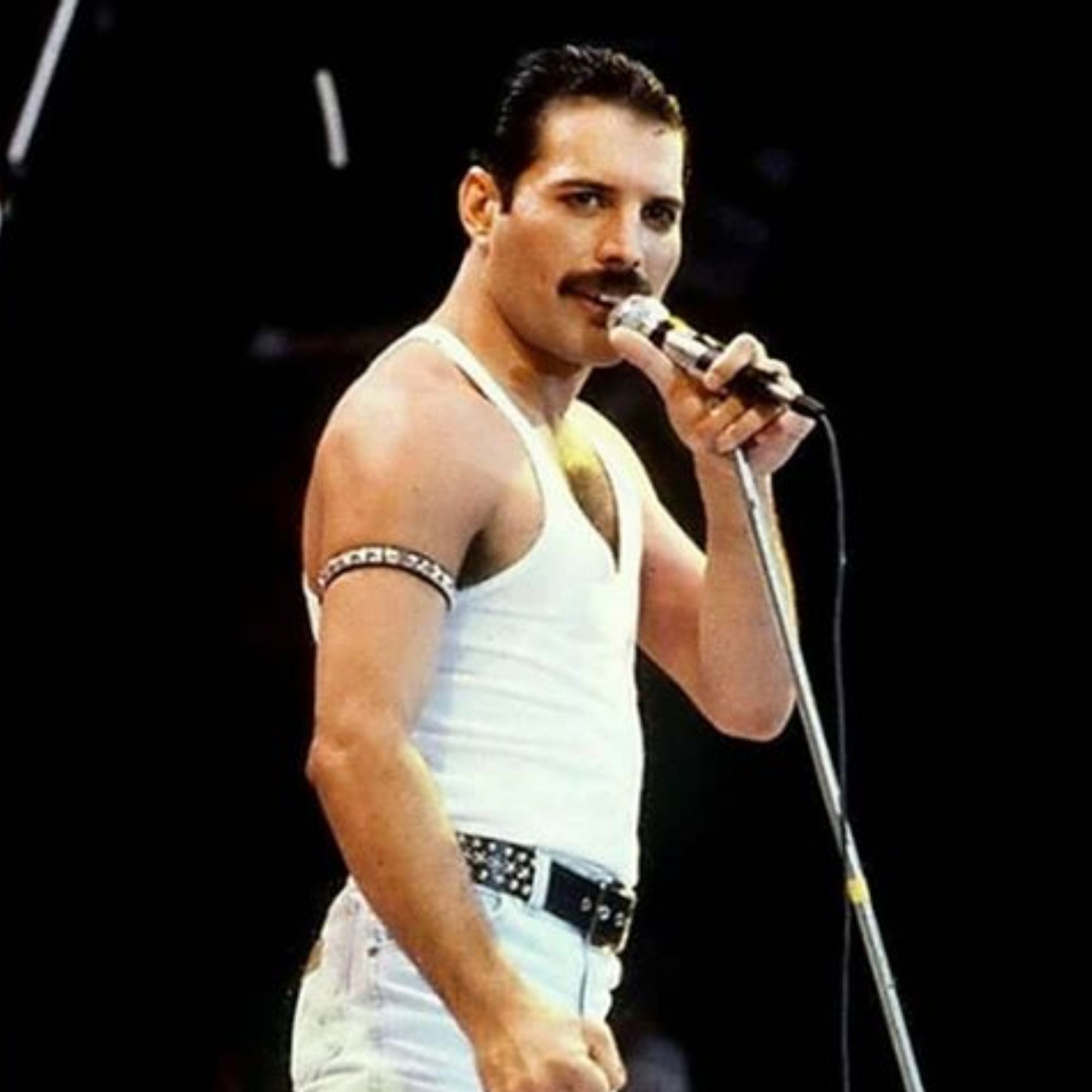 Marioneta de Dedo Freddie Mercury con iman