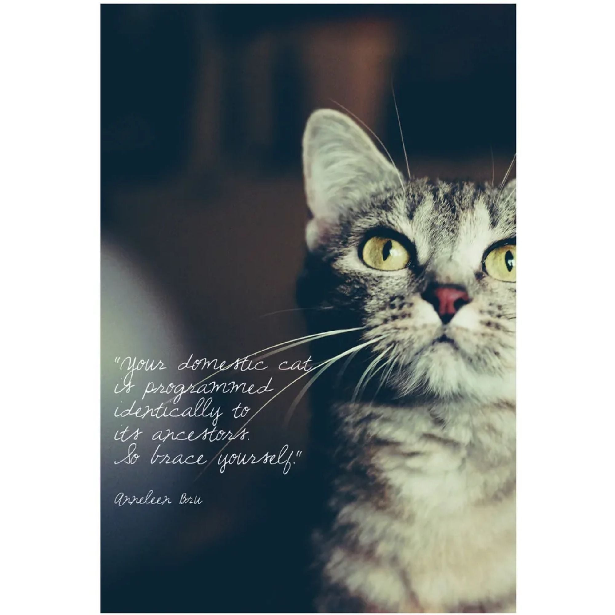 I LOVE HAPPY CATS: GUIDE FOR A HAPPY CAT — ANNELEEN BRU