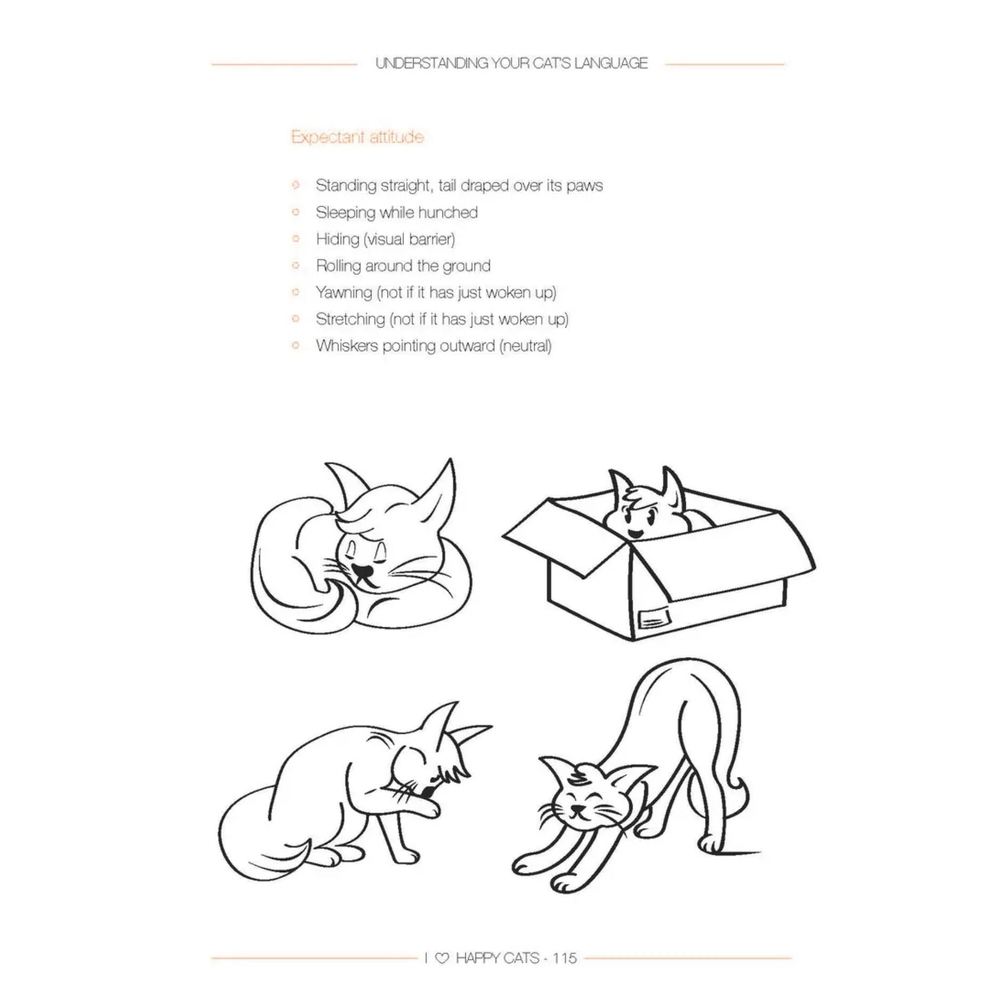 I LOVE HAPPY CATS: GUIDE FOR A HAPPY CAT — ANNELEEN BRU