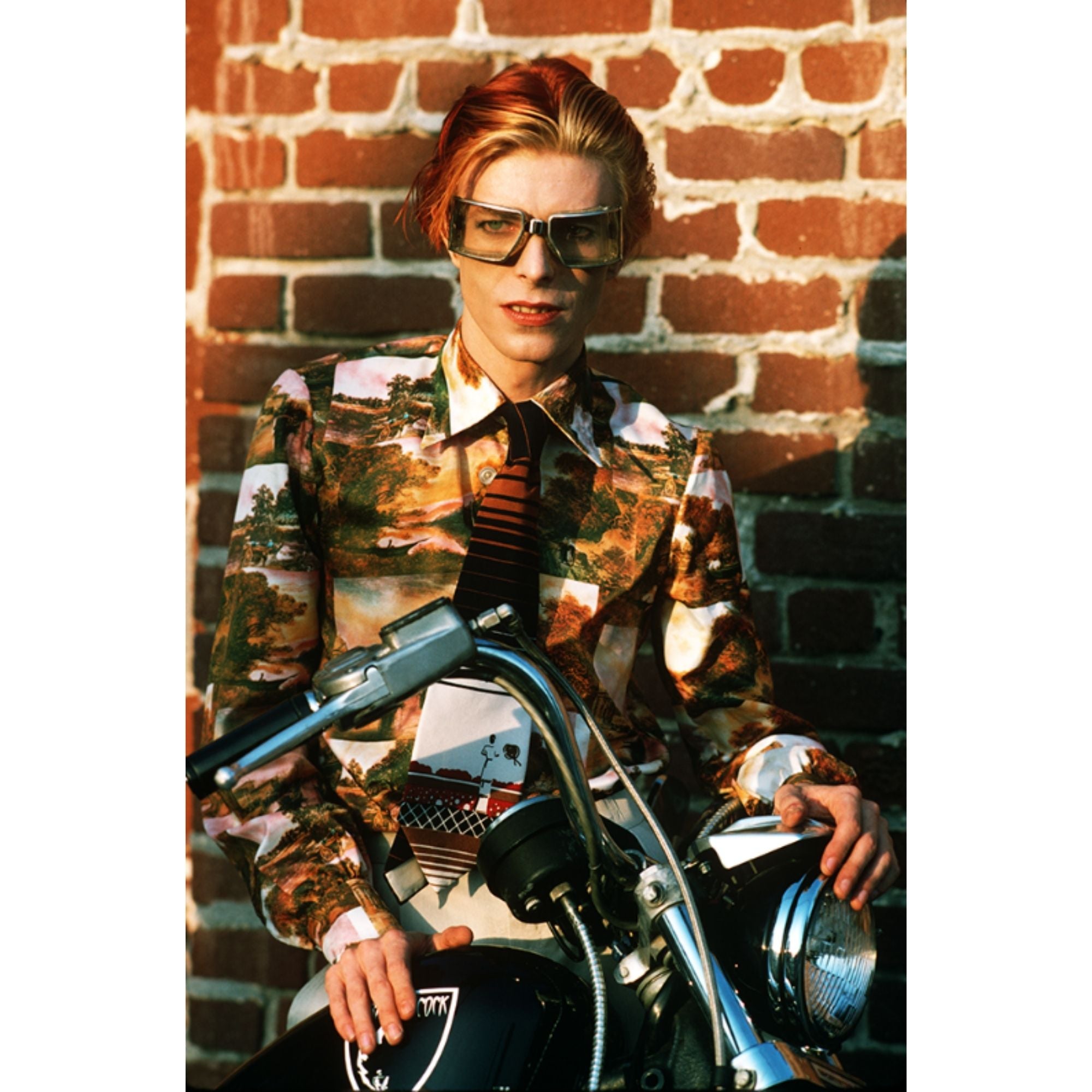 BOWIE. PHOTOGRAPHS BY STEVE SCHAPIRO