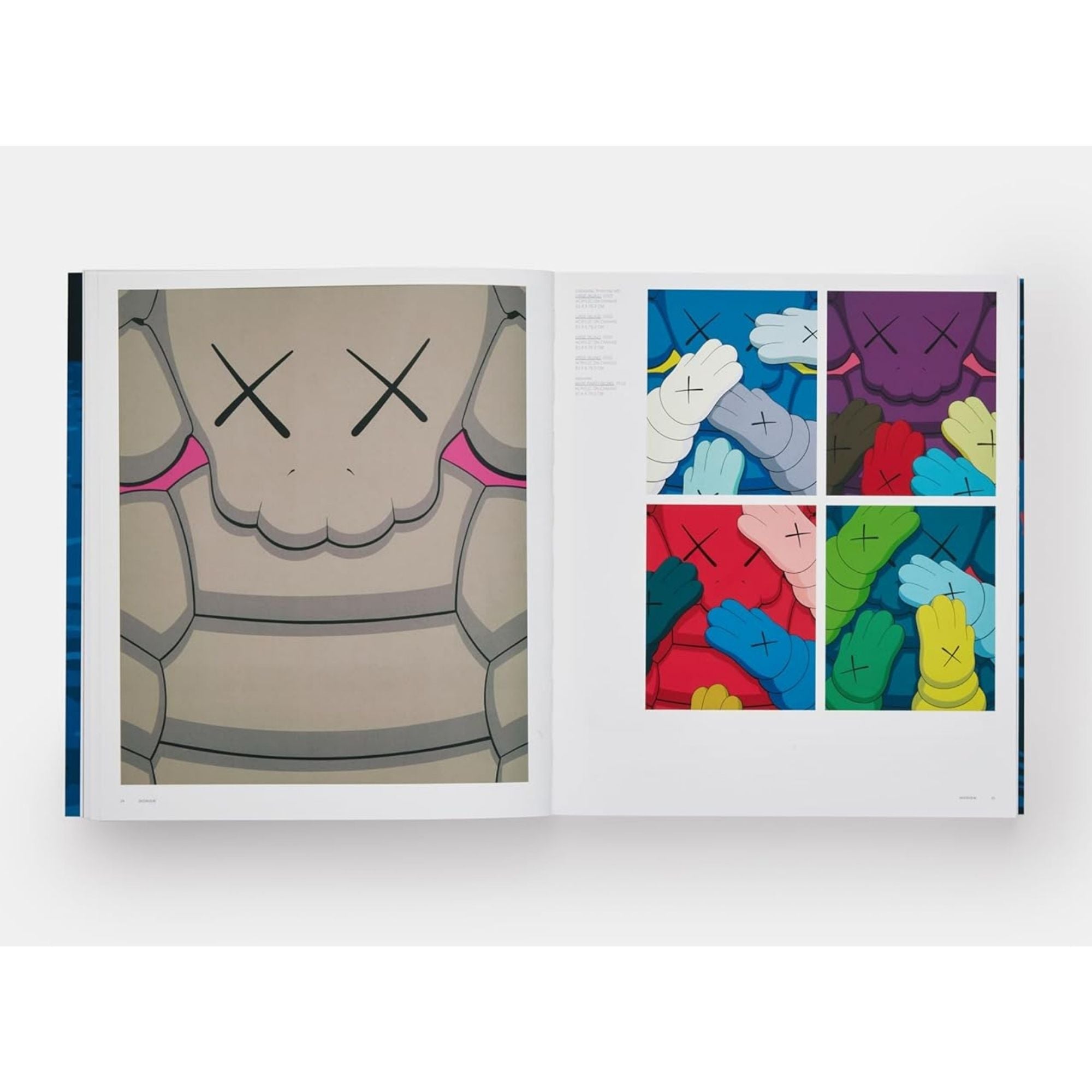 KAWS — PHAIDON CONTEMPORARY ARTISTS SERIES