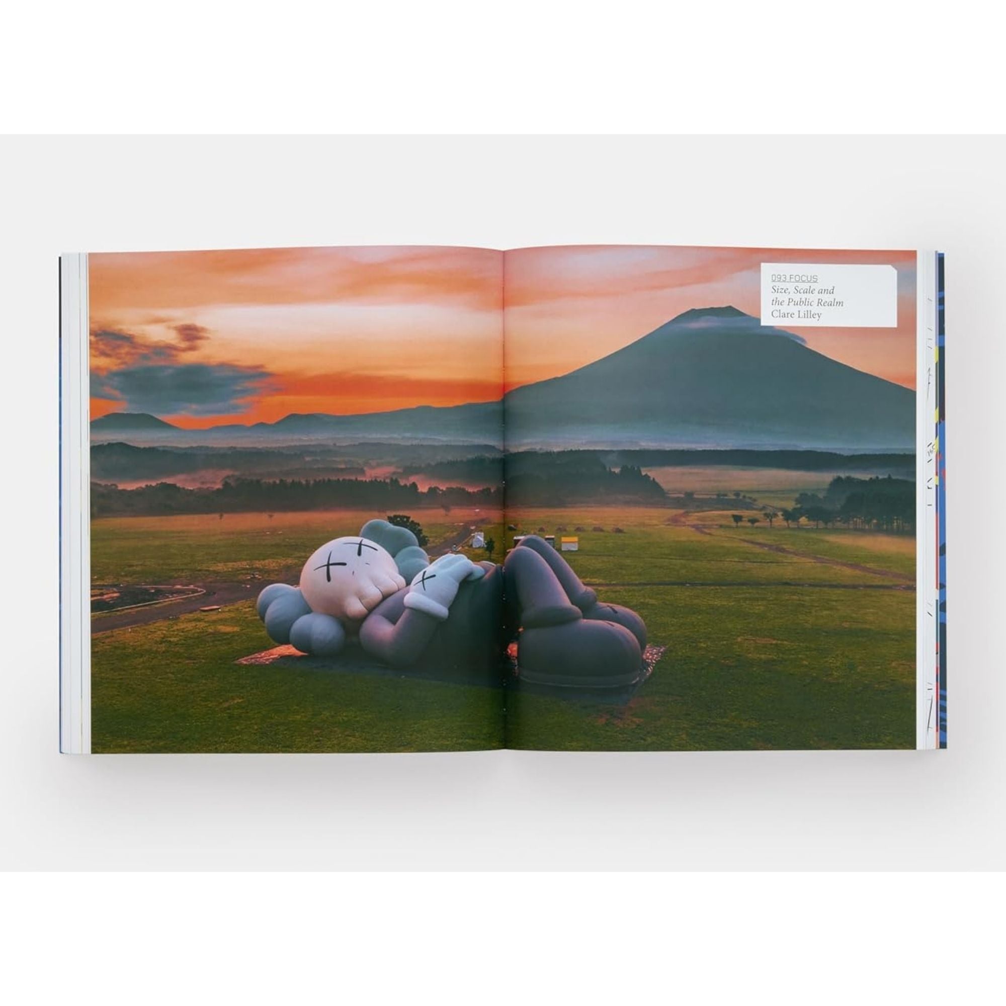 KAWS — PHAIDON CONTEMPORARY ARTISTS SERIES