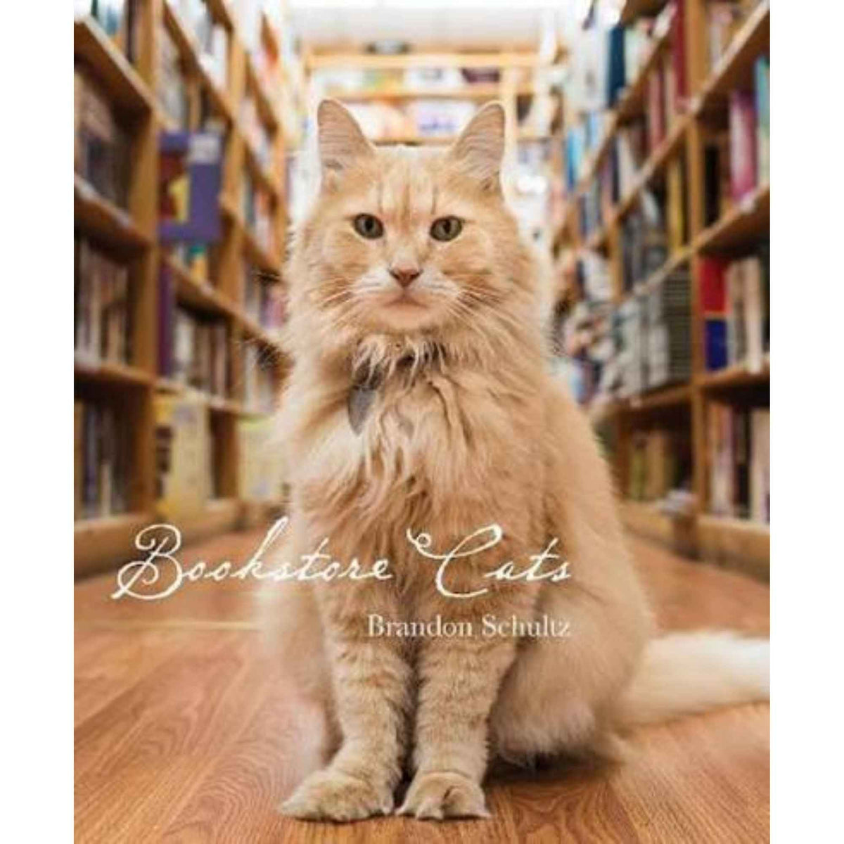 Bookstore Cats: Los Guardianes de la Lectura