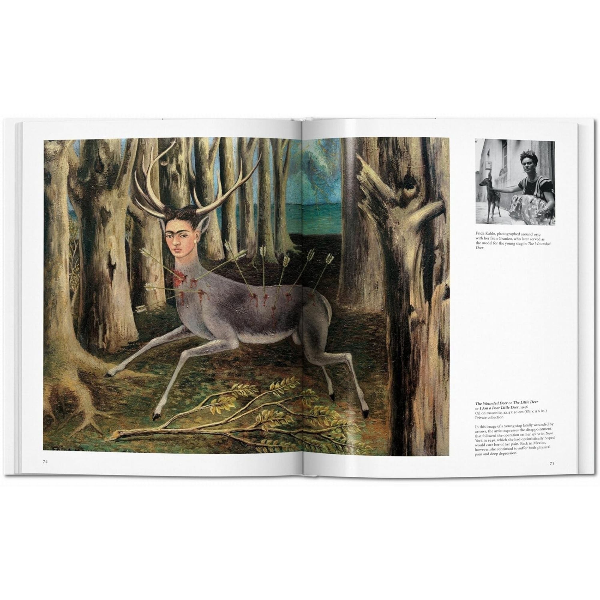 Frida Kahlo: El Arte de la Resiliencia