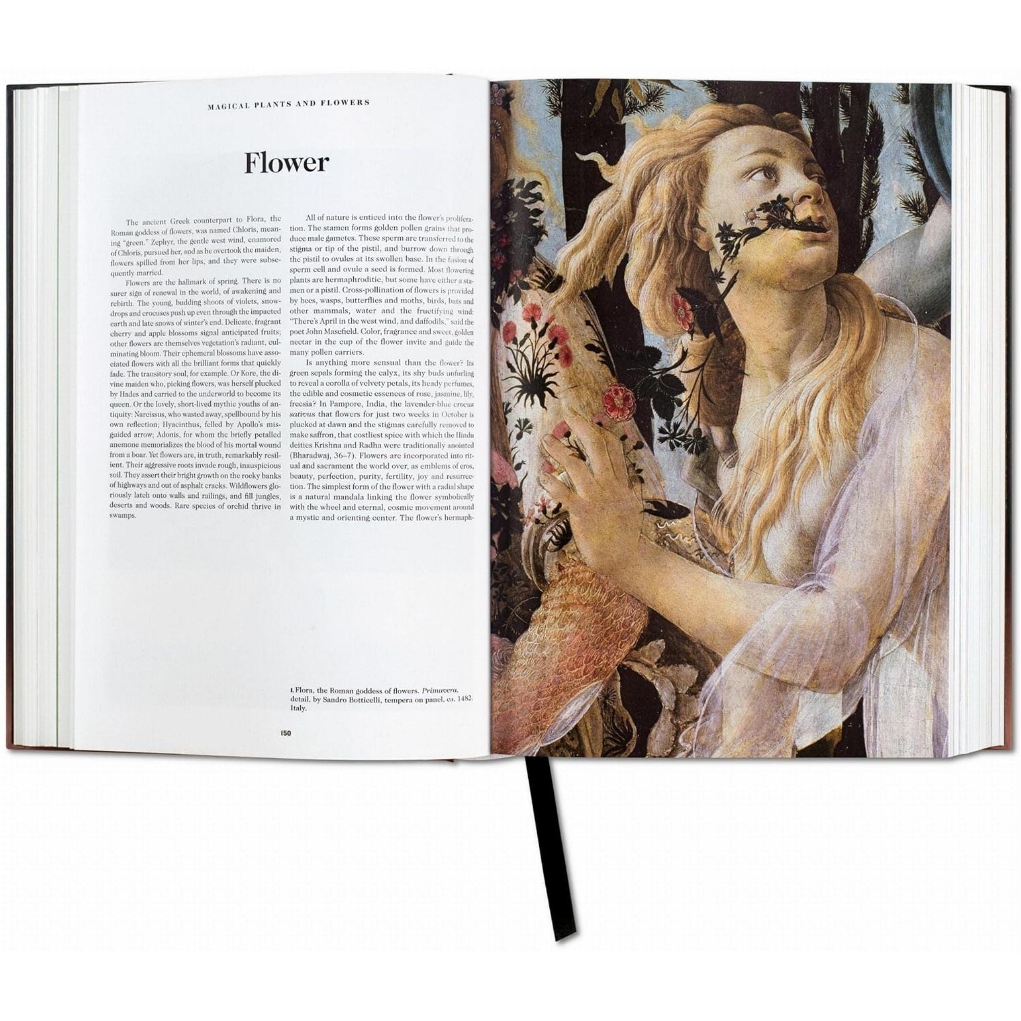 The Book of Symbols: Reflexiones Arquetípicas