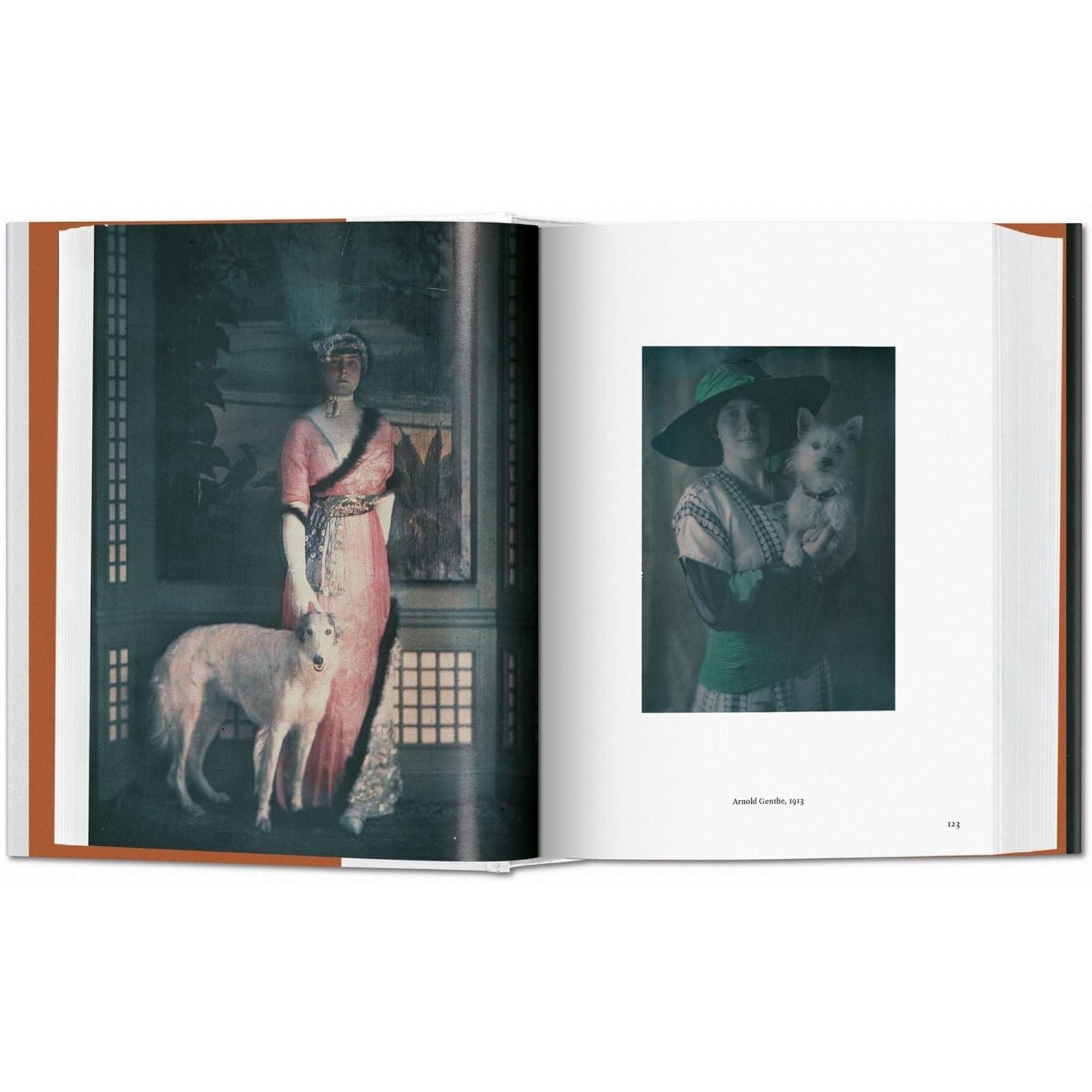 The Dog in Photography: Fidelidad en el Lente