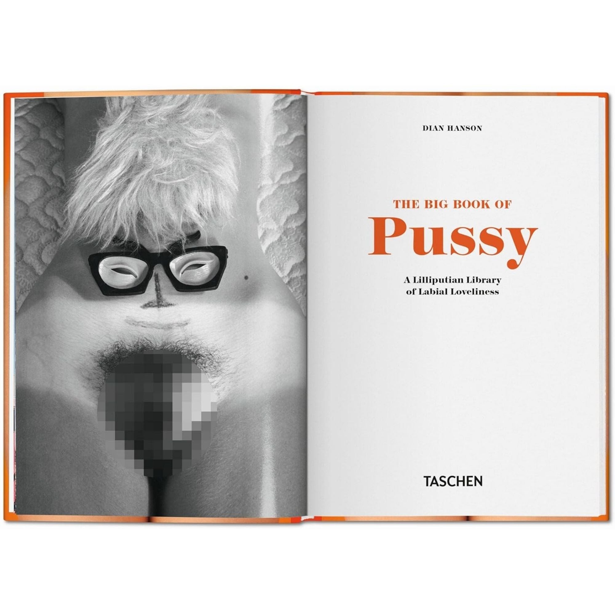 The Little Book of Pussy: Una Oda al Origen