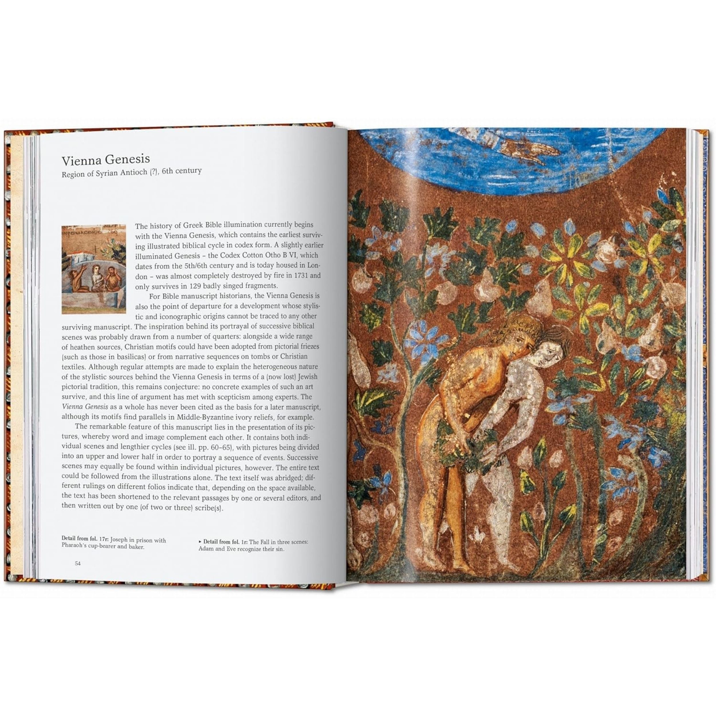 El libro de las biblias. 45th Ed.