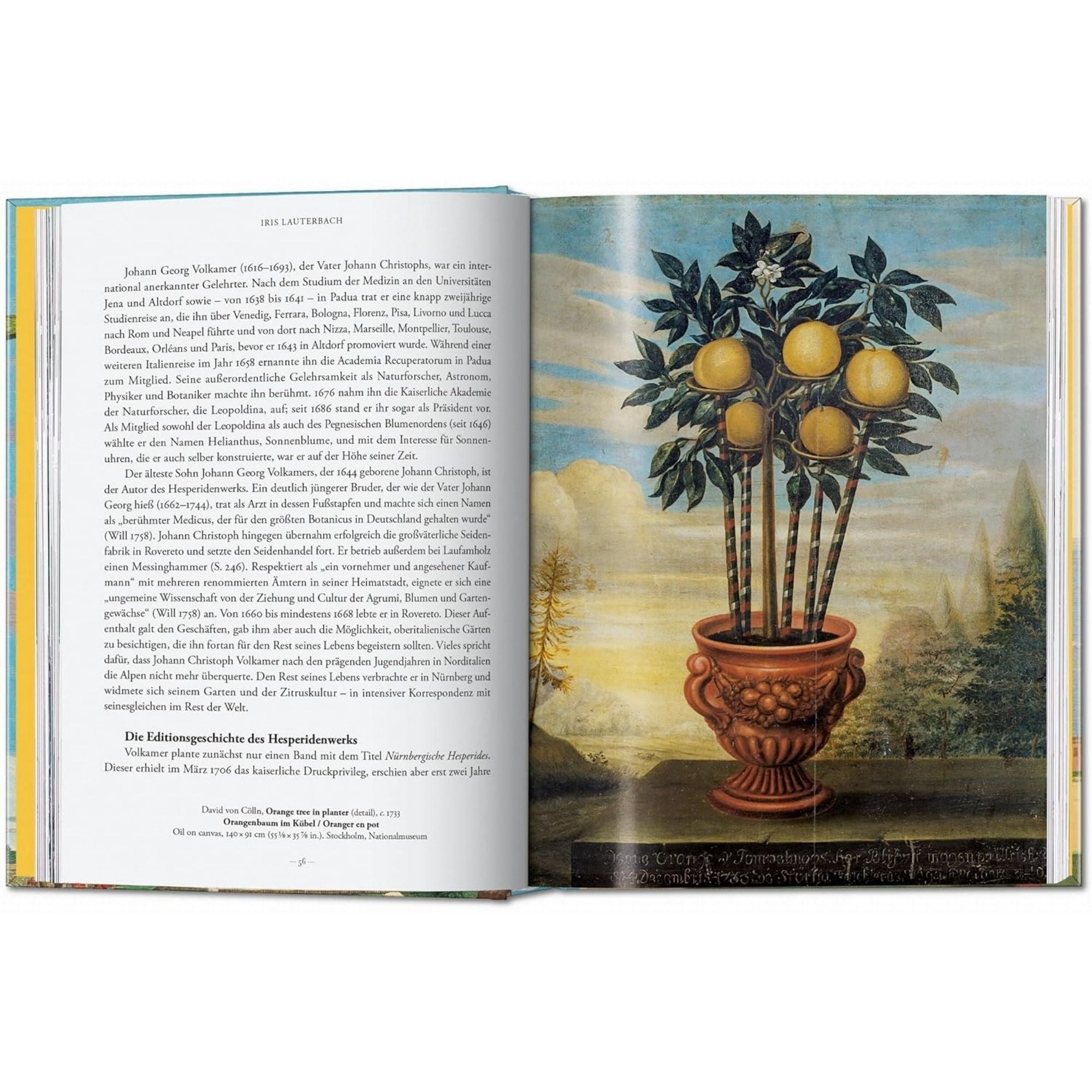 J. C. Volkamer. the Book of Citrus Fruits. 45th Ed.