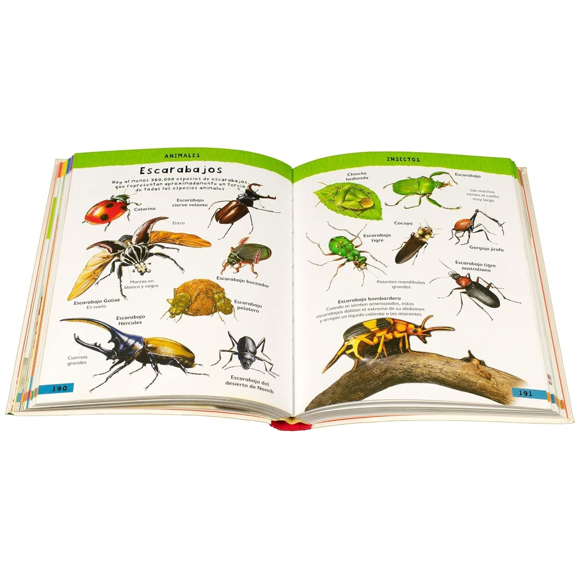 384 Paginas. Diccionario Ilustrado Para Niños