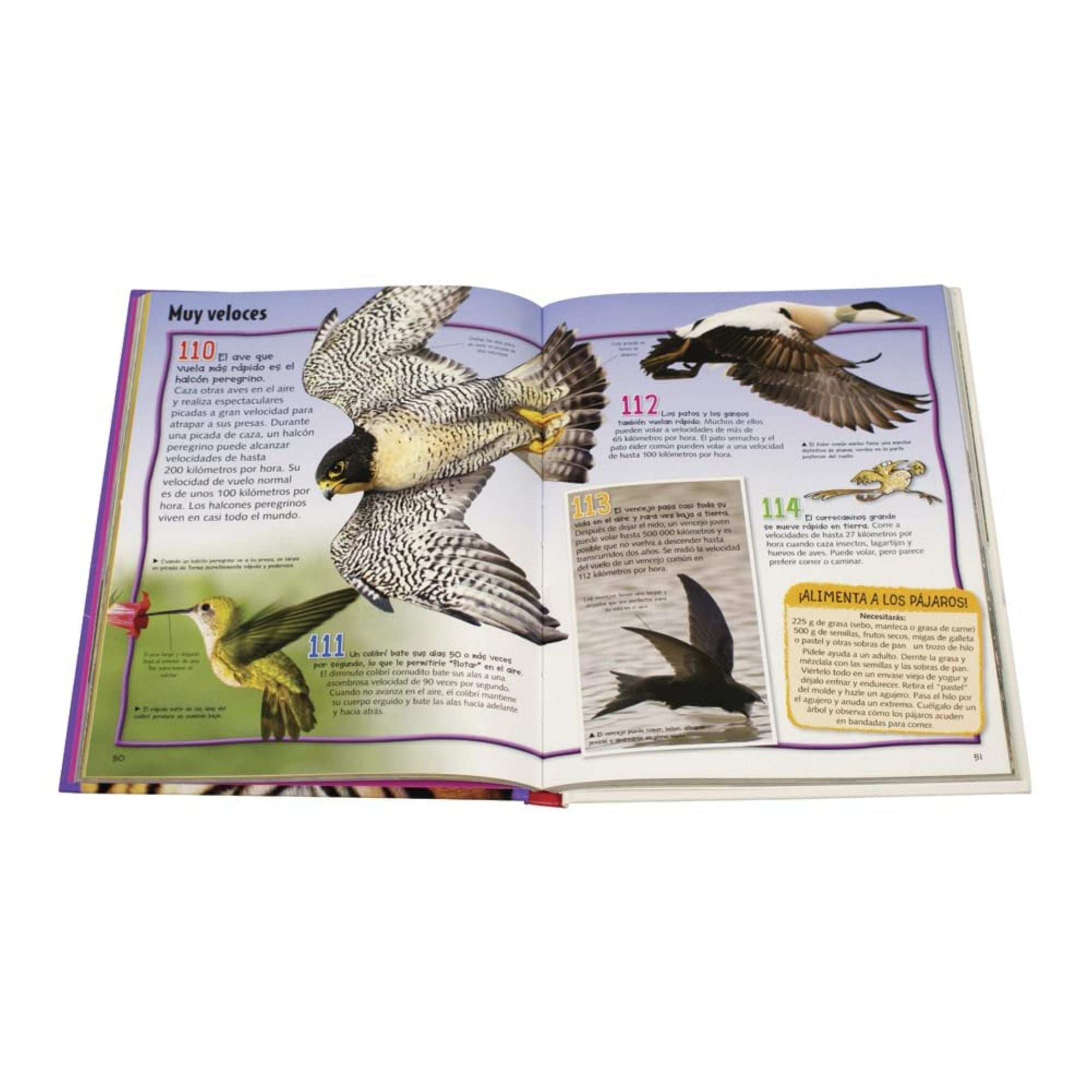 Enciclopedia Junior de los Animales: El Mundo Natural