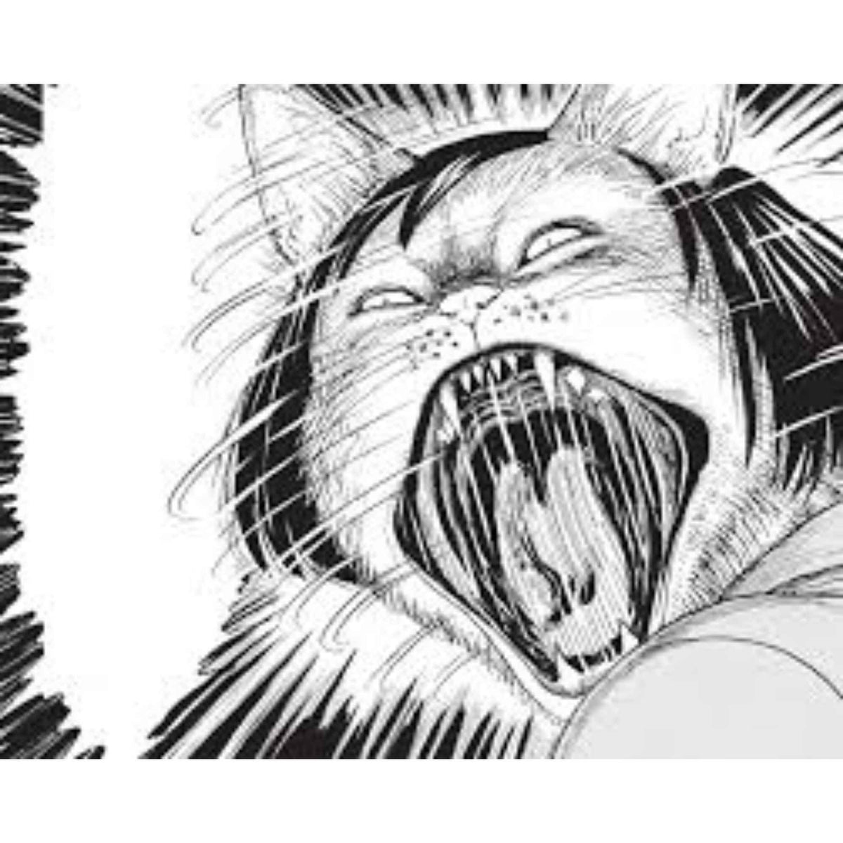 Junji Ito's Cat Diary: Yon & Mu