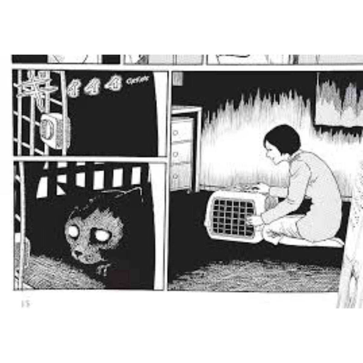 Junji Ito's Cat Diary: Yon & Mu