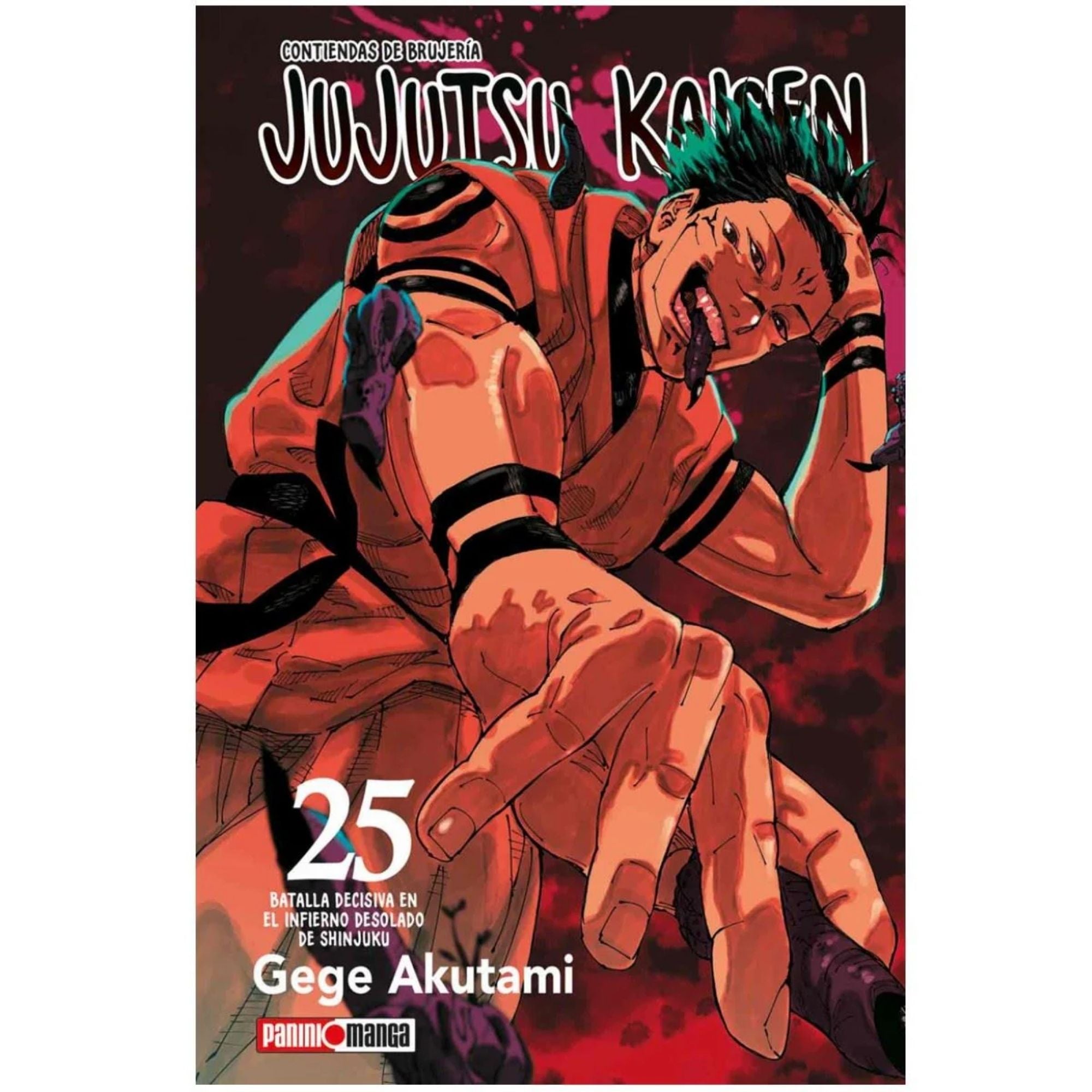 Jujutsu Kaisen N.25