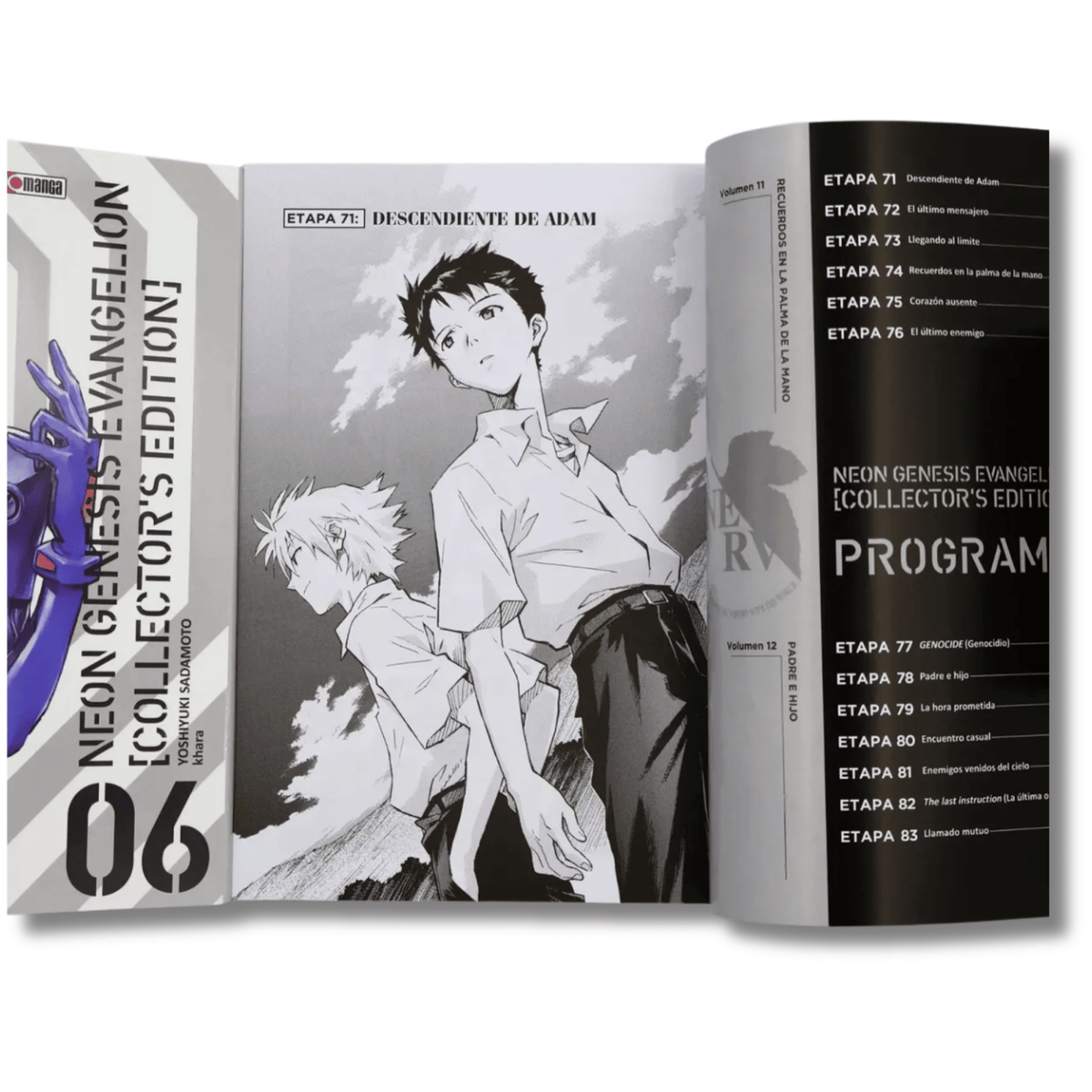 Evangelion Collector's Edition N.6