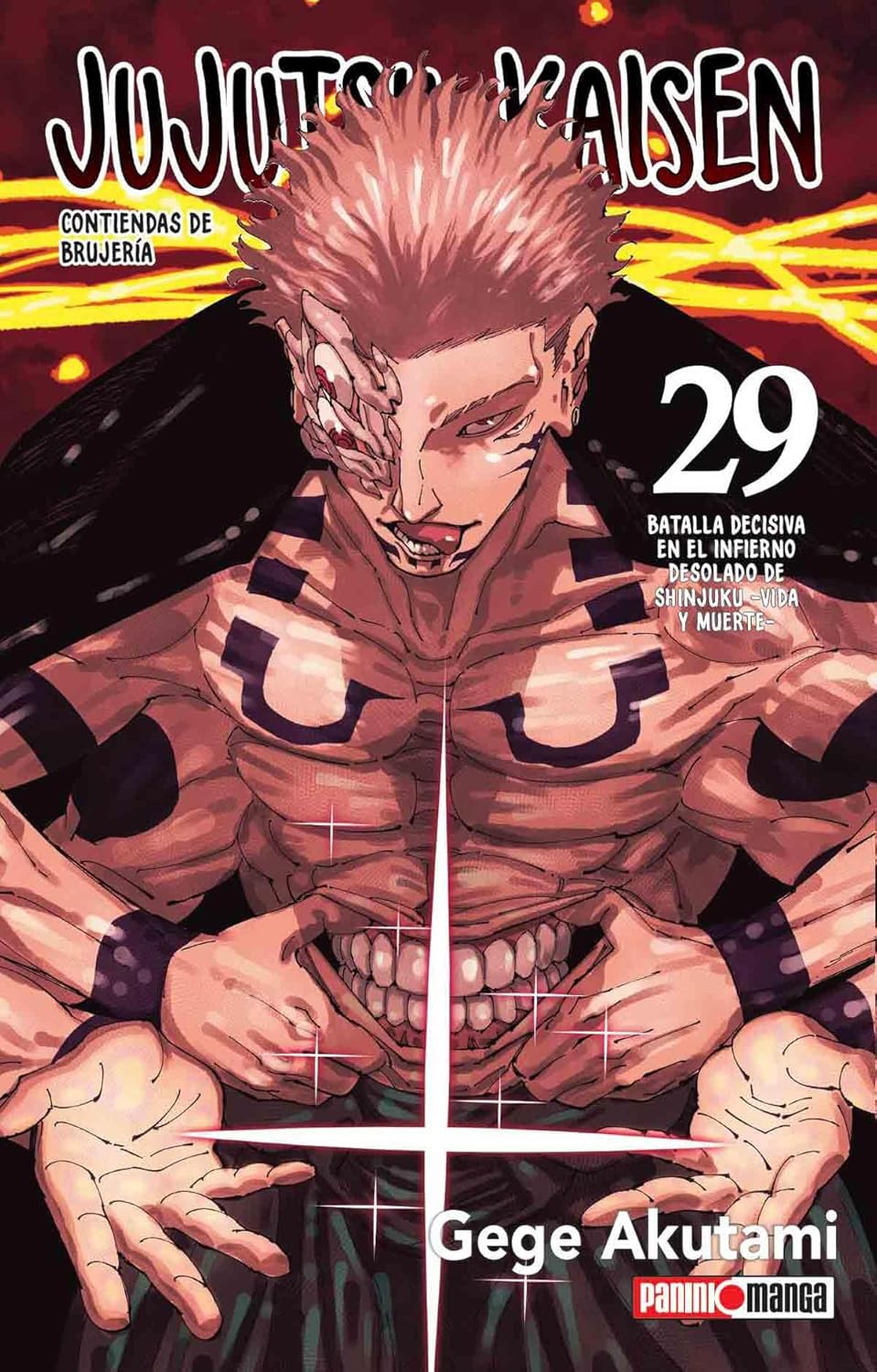 Jujutsu Kaisen N.29