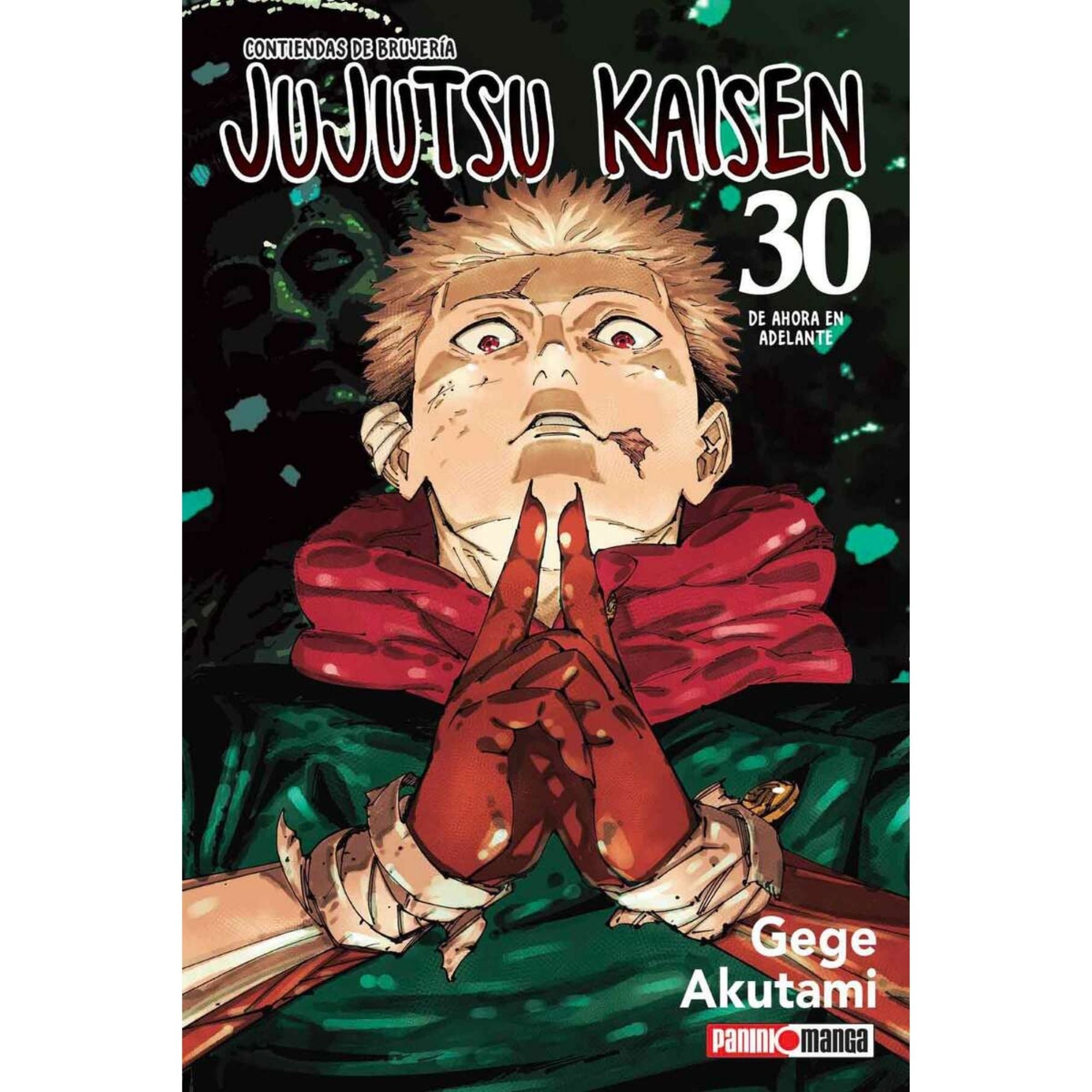 Jujutsu Kaisen N.30