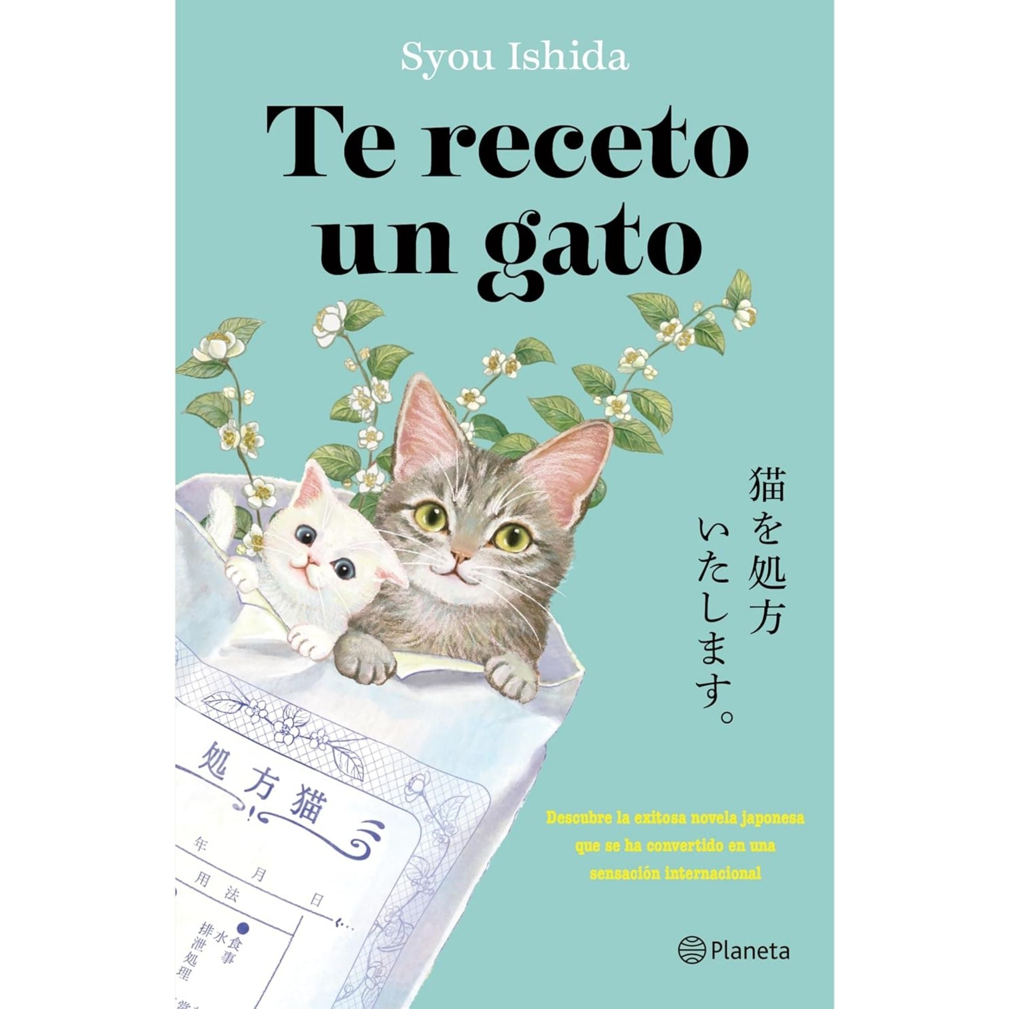 Te Receto Un Gato