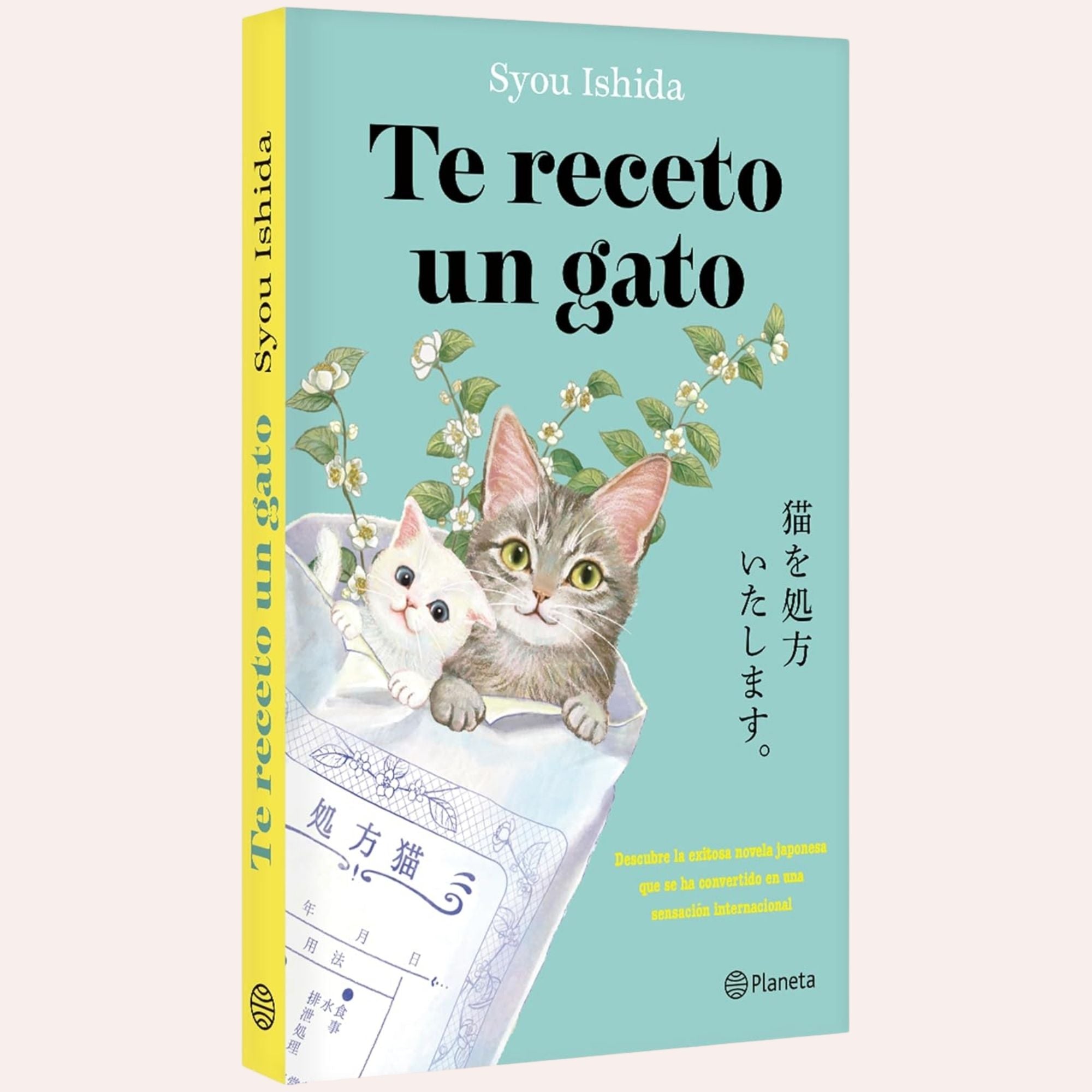 Te Receto Un Gato
