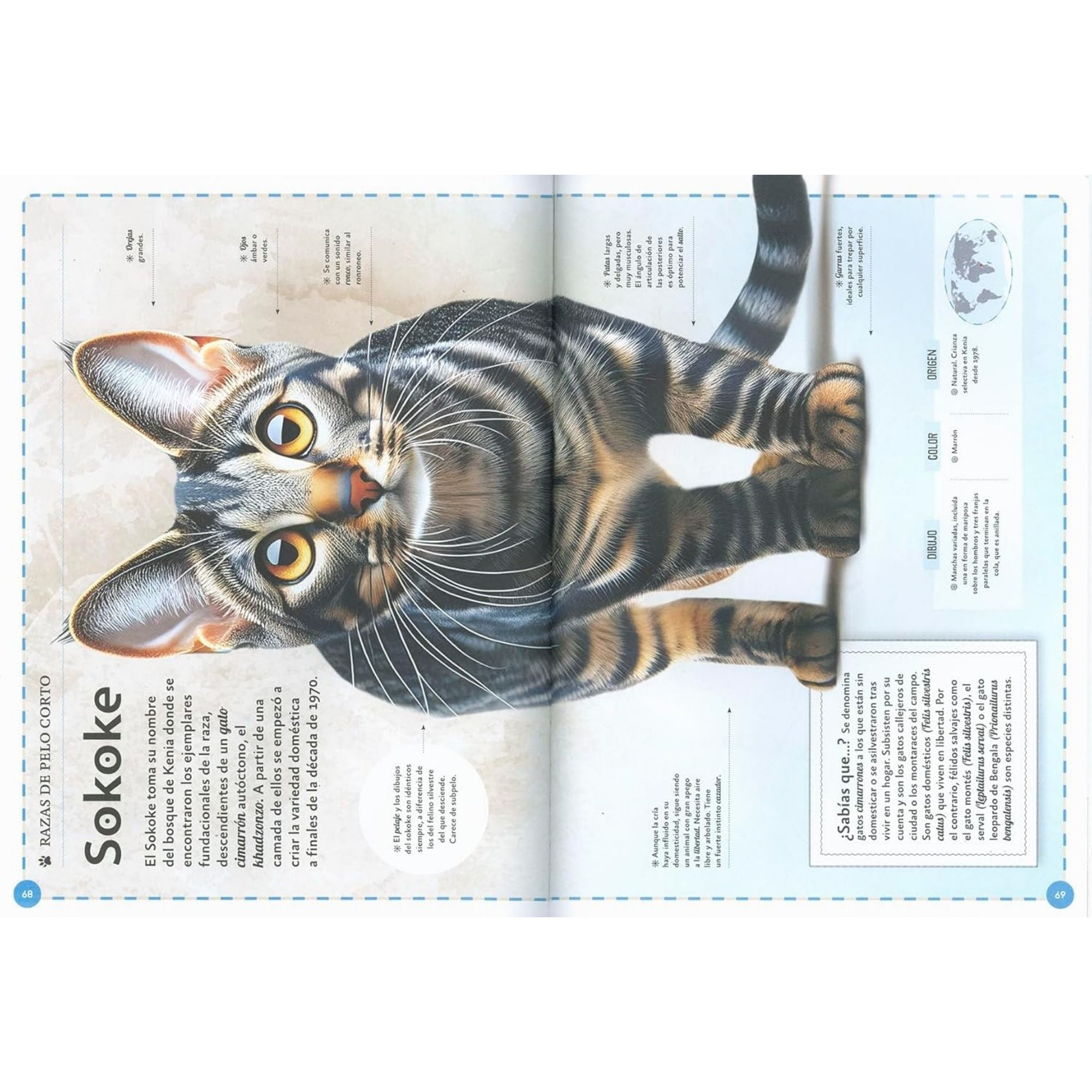 EL MAGNÍFICO LIBRO DE LOS GATOS — ELISEO GARCÍA NIETO