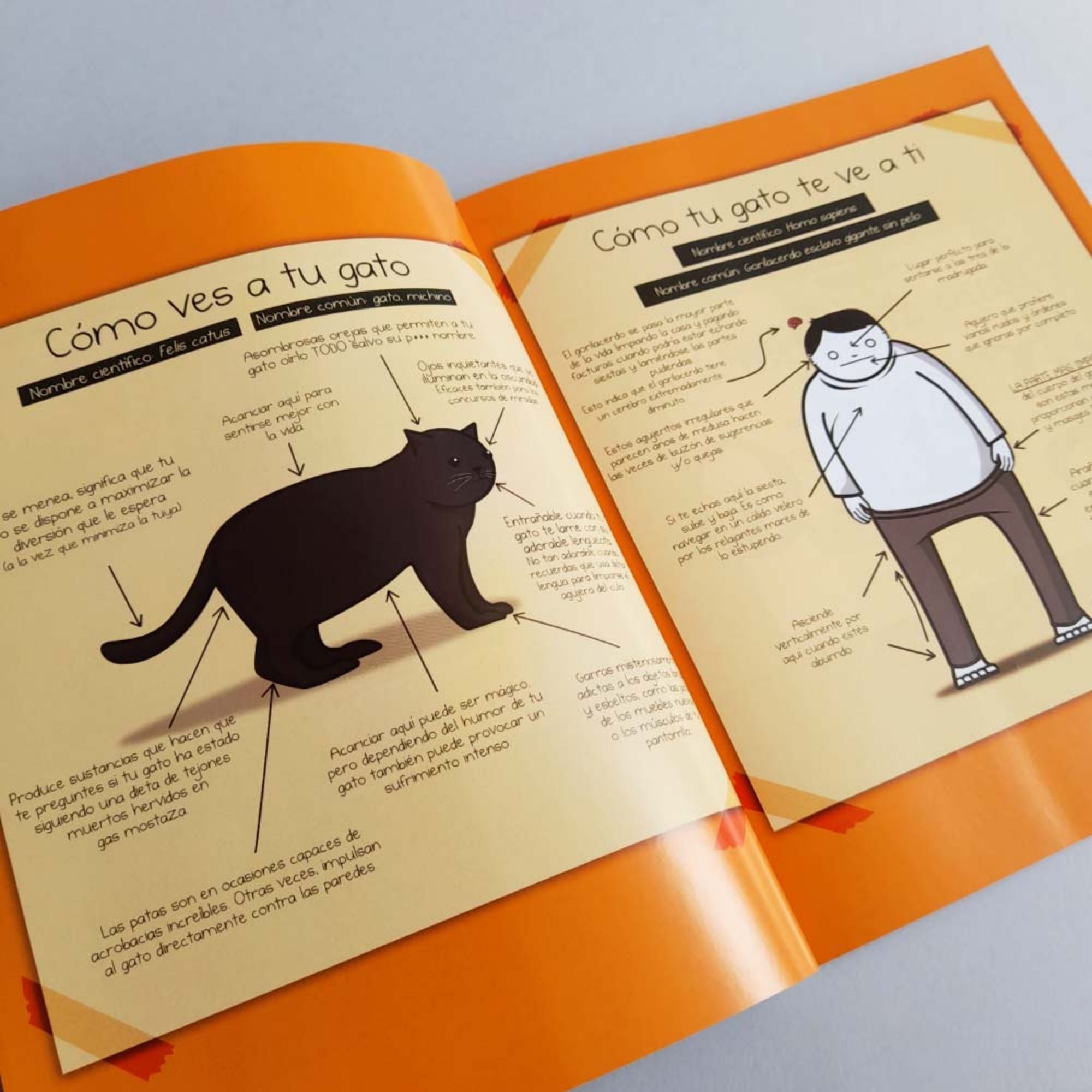 CÓMO SABER SI TU GATO PLANEA MATARTE — THE OATMEAL